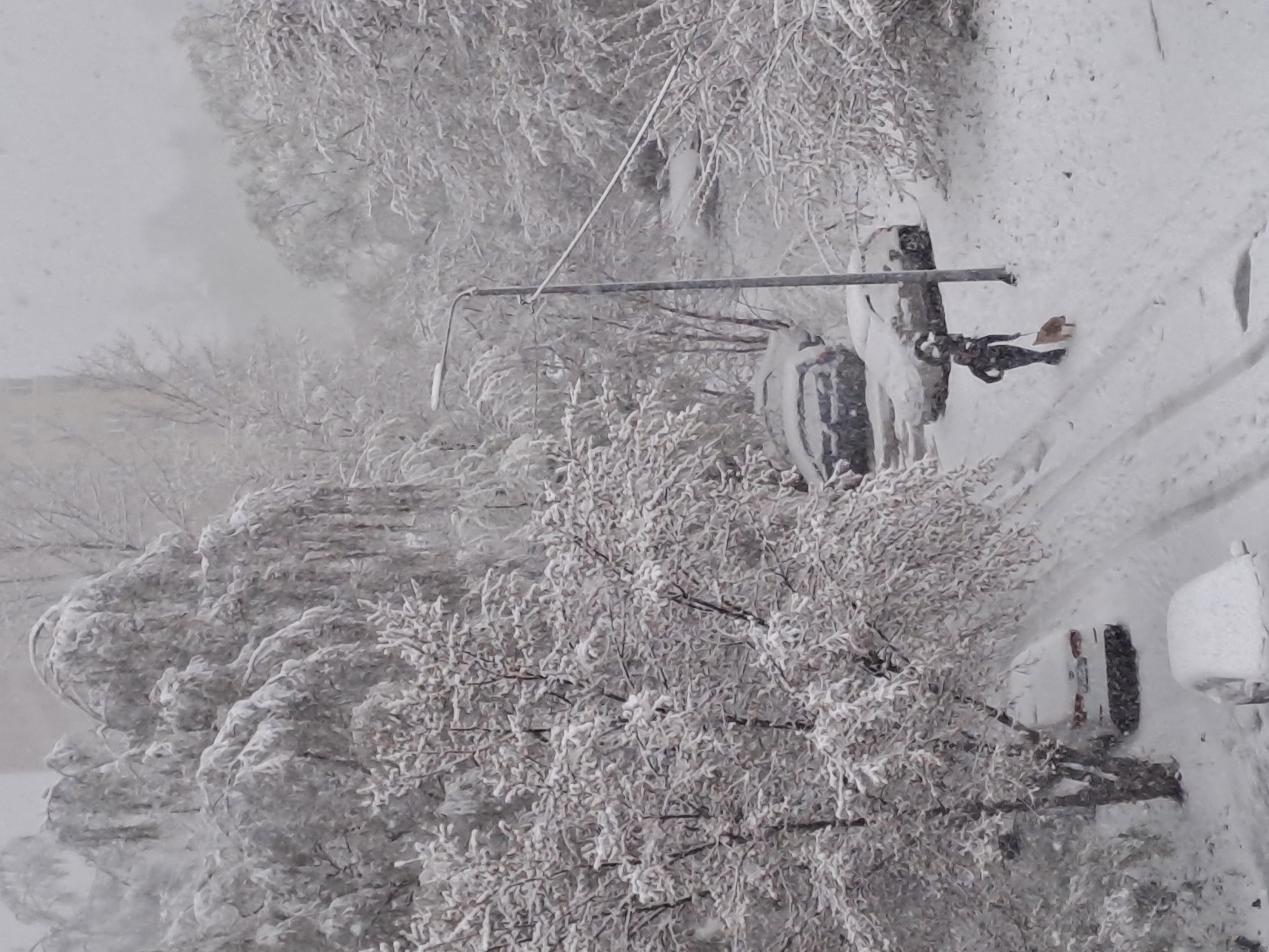 The image depicts a snowy urban scene, likely in Elektrostal, Russia, given the provided context. Trees are heavily laden with snow, and a utility pole with a streetlight is visible. The ground and nearby structures are covered in a thick layer of snow. The overall impression is one of a heavy snowfall and winter conditions. A building is partially visible in the background. A street sign, covered in snow, is attached to the utility pole. The picture seems to be taken from a high vantage point. A parked car is covered in snow.
