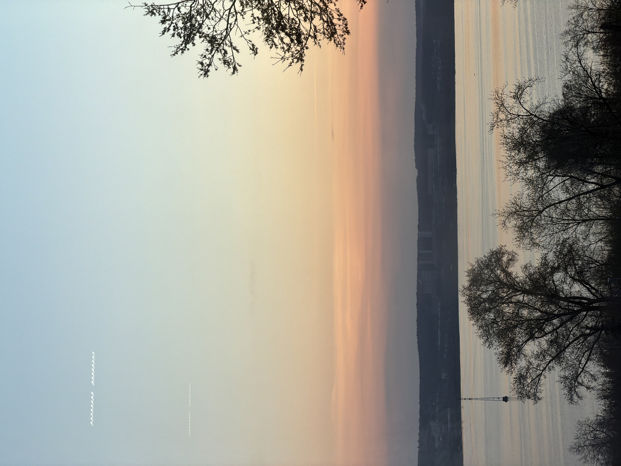 This portrait-oriented image captures a serene waterscape at either dawn or dusk, likely over the Izhevsk Reservoir in Izhevsk, Russia. The sky dominates the upper portion of the frame, showcasing a gentle gradient of colors that transition from a pale blue in the upper left to soft yellows, oranges, and pinks towards the right. Faint, wispy streaks, possibly contrails or high clouds, are visible across the colored sky.
The calm body of water, occupying the lower half, beautifully reflects these sky hues, creating vertical patterns of light and shadow across its surface. A dark, distant shoreline, possibly consisting of forests or urban structures, stretches horizontally across the middle of the frame, silhouetted against the water and sky.
In the foreground, the intricate, bare branches of trees frame the scene. A cluster of dark, leafless branches extends from the top right corner, while another group of trees with similar delicate branches is visible along the bottom right edge of the water. Towards the bottom right, a tall, slender structure, resembling a weather mast or a buoy, rises from the water. A small, dark, bird-like shape can be seen flying low over the water in the distance. In the upper left of the image, a series of small, white dashed lines are present, which appear to be a photographic artifact or a faint light trail rather than legible text.
The scene is devoid of people or specific activities, conveying a sense of quietude and natural beauty. The soft, diffuse light suggests a peaceful moment during sunrise or sunset.