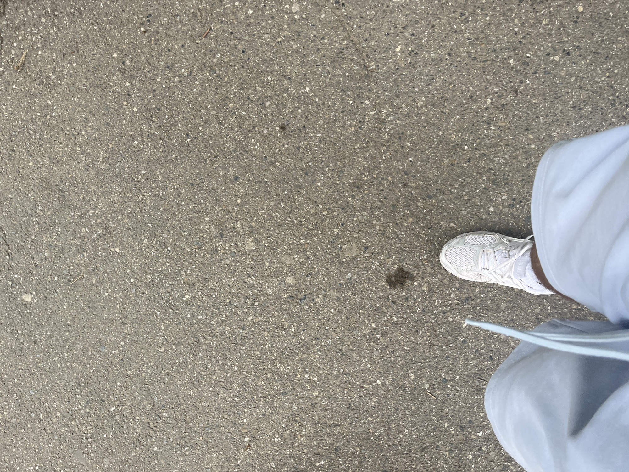 The image depicts a section of asphalt pavement, likely a sidewalk or street in an urban area. A portion of a person is visible in the lower right, wearing light blue clothing and a white sneaker. The location, Blagoevgrad, Bulgaria, is not discernible from the image alone.