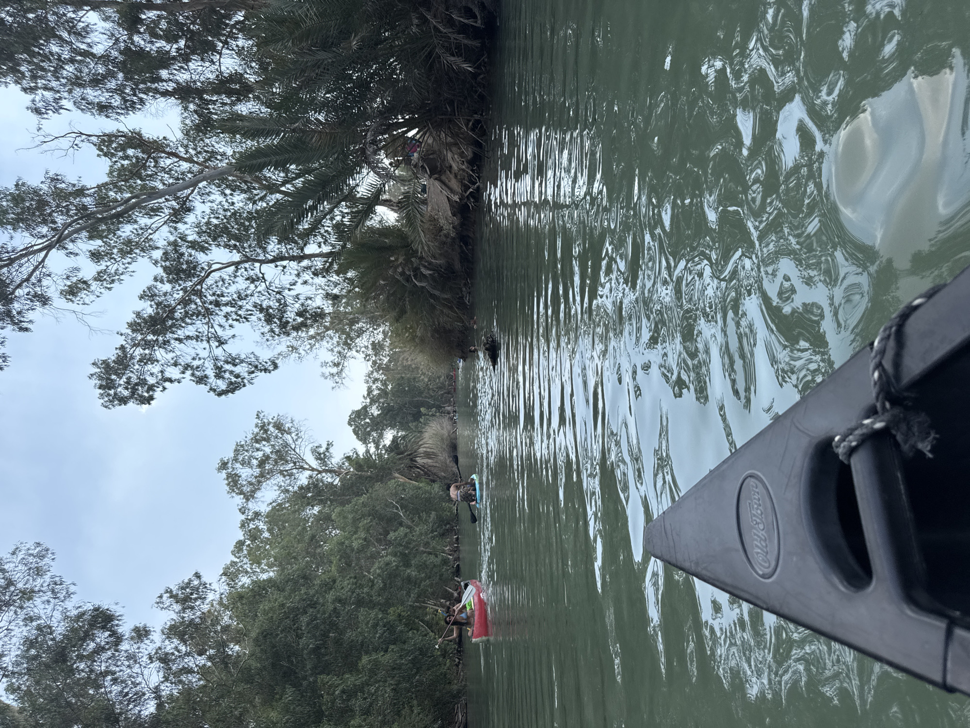 The image depicts a serene river scene in the Emek HaYarden Regional Council, Israel, likely the Jordan River given the vegetation and the activity. The viewpoint is from a canoe, showing its bow in the foreground. The river is wide and calm, with a greenish-blue hue, reflecting the overcast sky and lush greenery that lines its banks.
Several people are engaged in water activities. In the mid-ground, a red canoe carries three individuals who appear to be paddling. To their right, a person is standing on a paddleboard, also holding a paddle. Further in the background, more people and possibly other watercraft are visible, suggesting a popular recreational area. The banks of the river are densely vegetated with a variety of trees, including tall, leafy trees and palm trees, creating a natural and somewhat wild atmosphere. The sky is a pale blue with some clouds. The overall impression is one of a leisurely day spent enjoying nature and water sports.