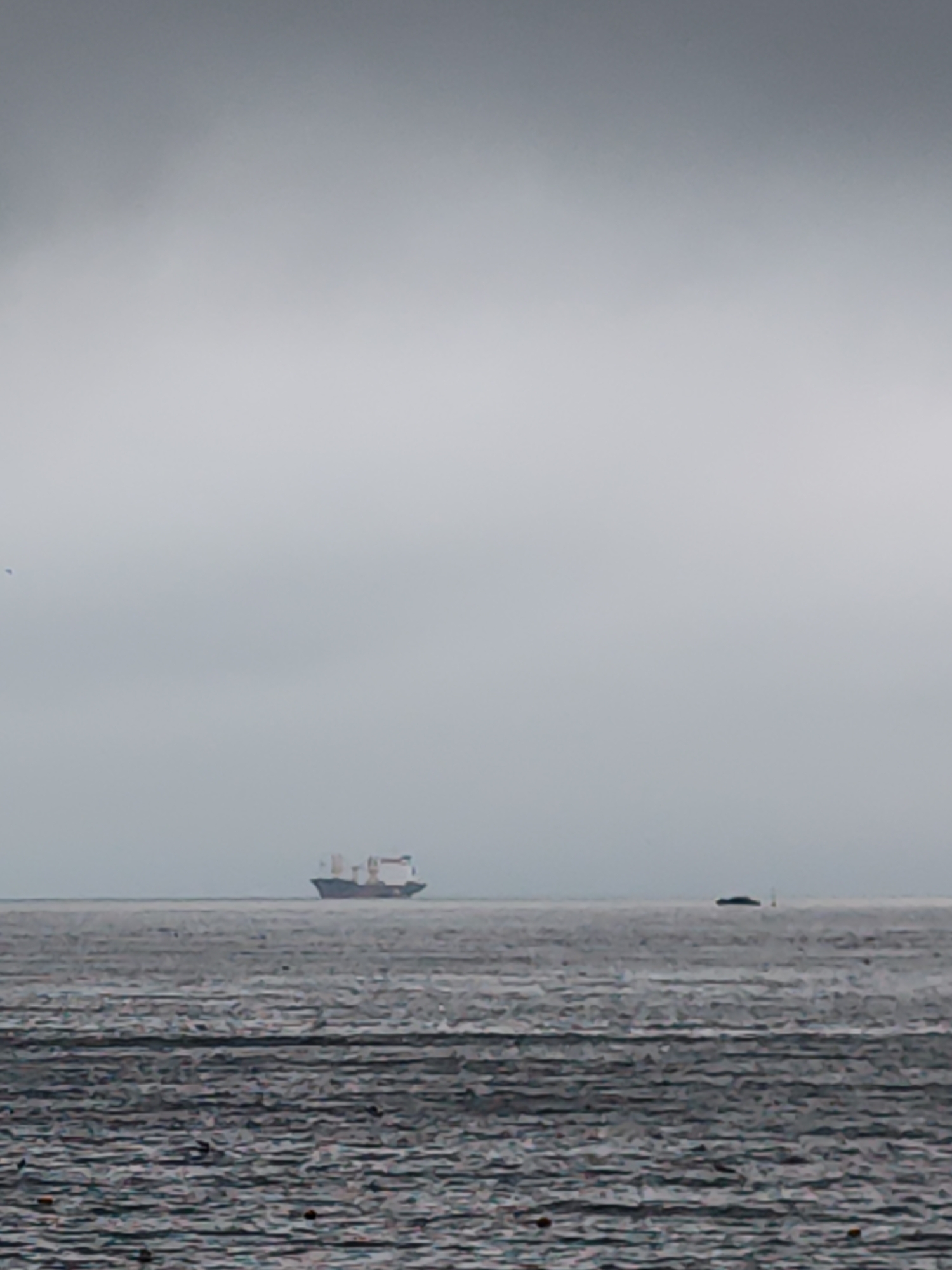 A cargo ship with a white superstructure and containers is visible on the horizon of a gray sea under an overcast sky. The water is choppy with dark, rippling textures, suggesting a rough or choppy sea. In the foreground, the water surface is also textured and dark. To the right of the cargo ship, a smaller, darker object, possibly another vessel or a buoy, is present. The overall atmosphere is somber and muted due to the cloudy weather. The scene is not identifiable as being in Vladivostok, Russia based solely on the visual information.