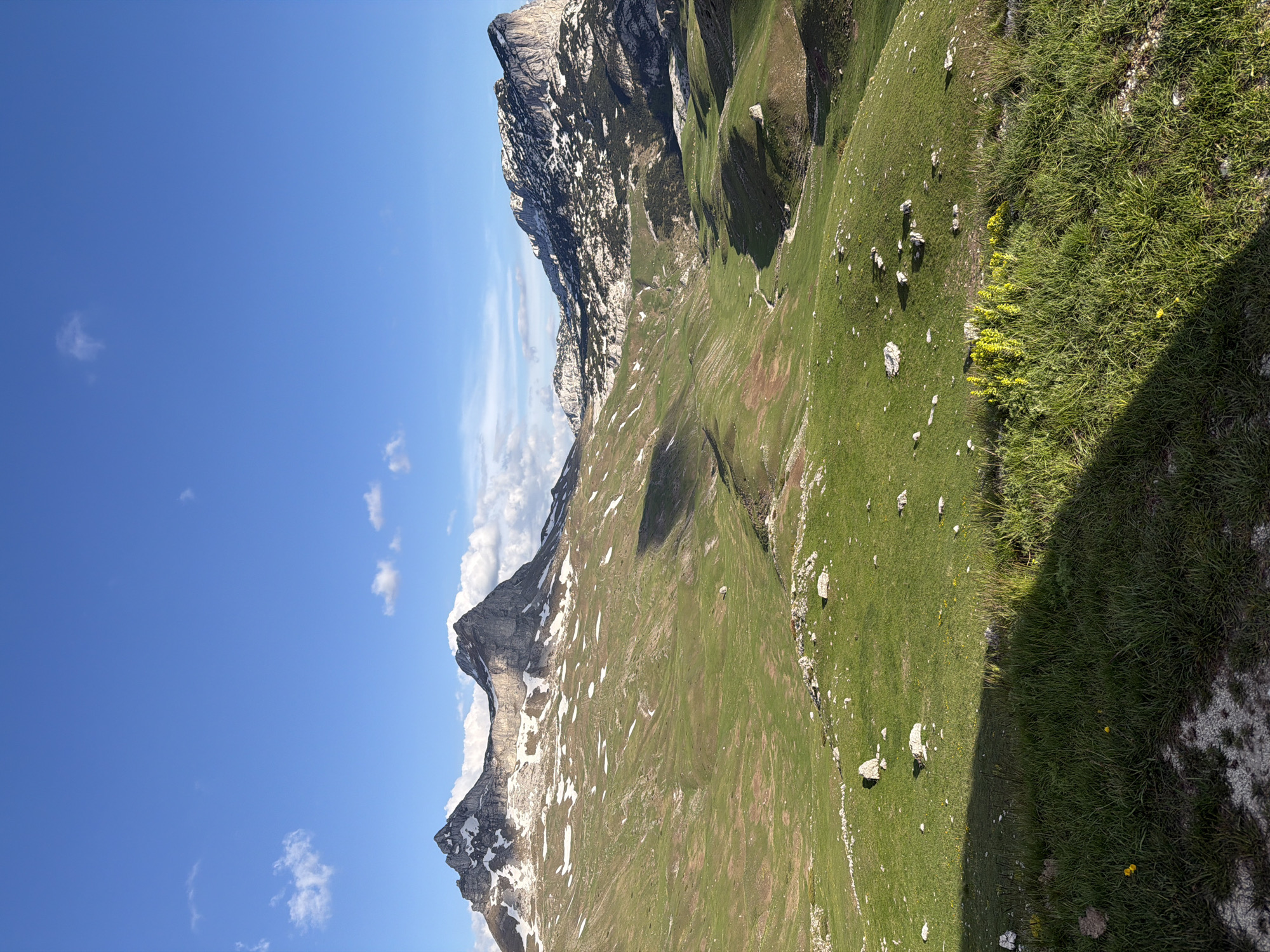 The image shows a mountainous landscape with a clear blue sky above. The mountains are partially covered with grass and rocky outcrops, some with patches of snow. A green grassy hillside extends into the foreground with scattered rocks and yellow flowers. The location is likely in a mountainous region, potentially in Montenegro.