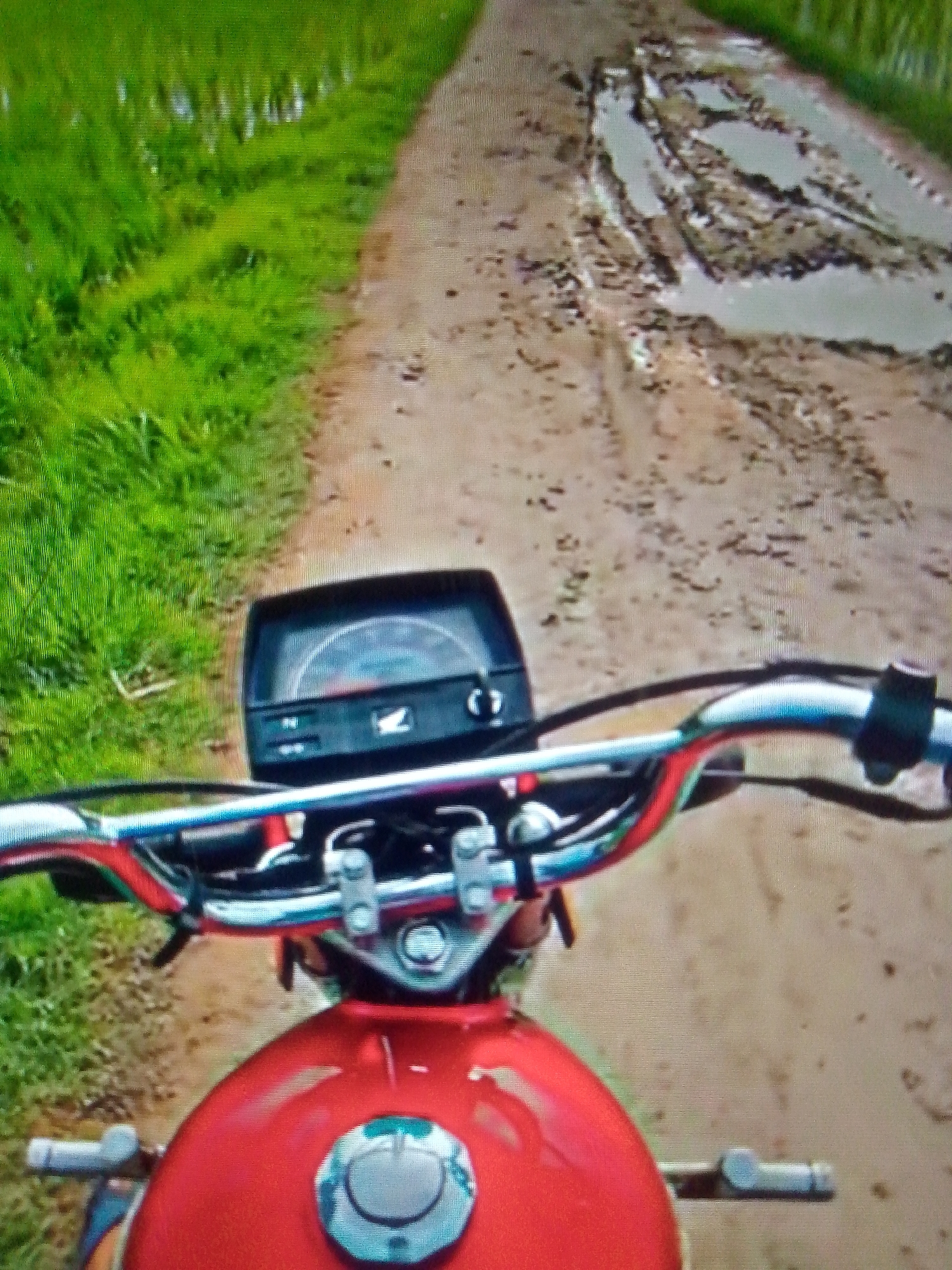 The image depicts a first-person perspective from a red motorcycle traversing a dirt road. To the left, there is a patch of vibrant green grass or vegetation. Ahead, the dirt road is uneven and muddy, displaying tire tracks. The handlebars of the motorcycle are visible, complete with the instrument panel featuring a Honda logo. The location is a rural area with no identifiable city or specific location.