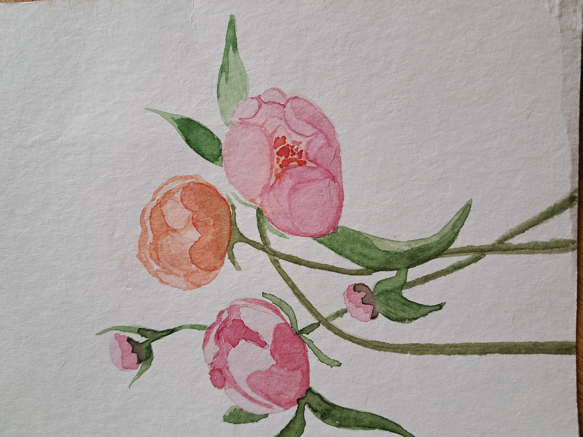 A watercolor painting of three pink peony buds and one partially opened orange peony with green leaves and stems on a textured white background. The buds are of various sizes, with the largest pink one on the left and a smaller pink bud below it. The orange peony is on the upper right, and a fully opened pink peony is in the lower right quadrant. The stems are thin and green, with some watercolor variations in tone. The background paper has a visible texture with some subtle creases. The painting is viewed from a slightly elevated angle, with the bottom edge showing a hint of a wooden surface. The overall impression is one of delicate floral beauty.