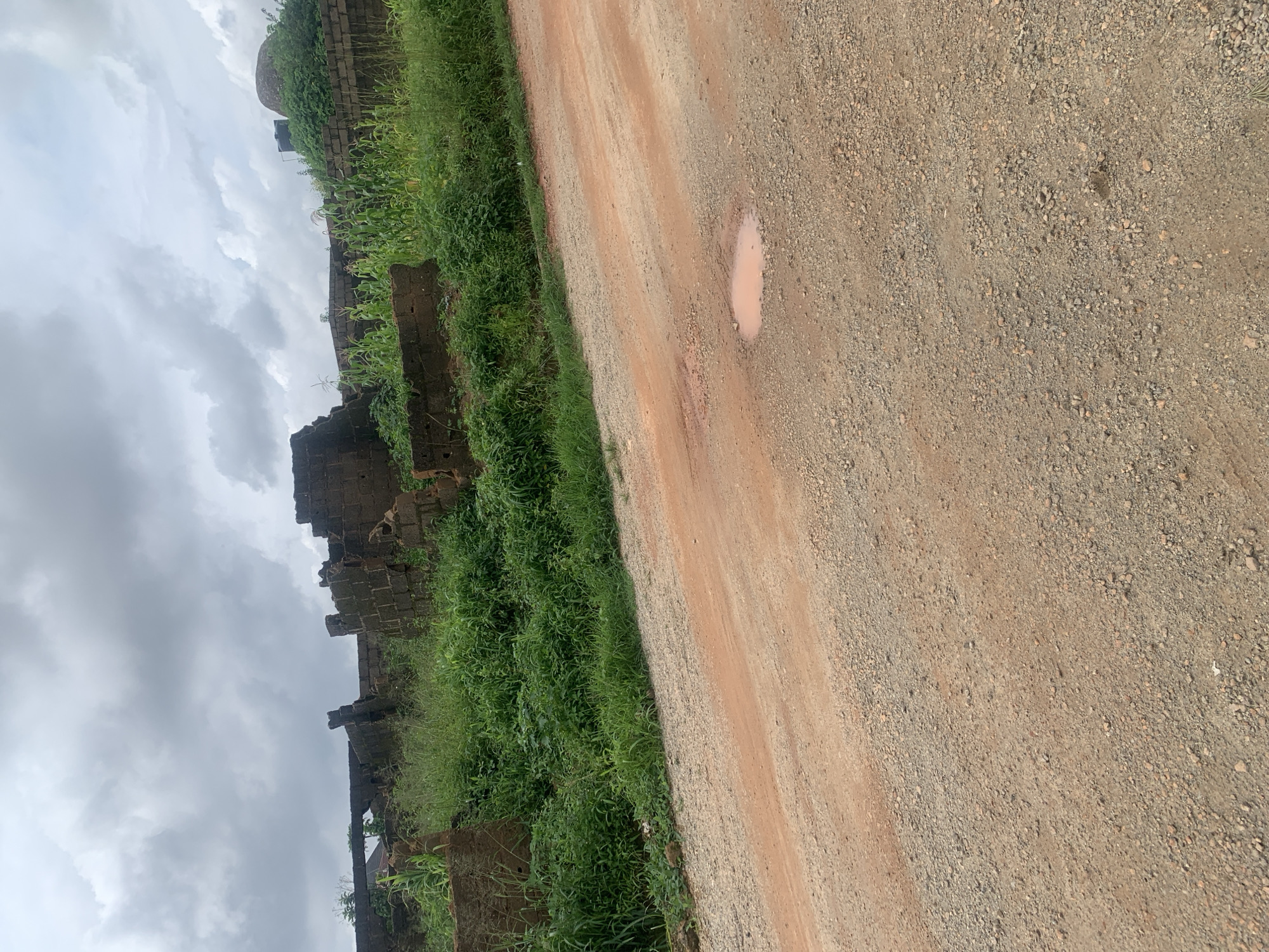 This image depicts a rural scene, likely on the outskirts of Jos, Nigeria, characterized by an overcast sky and a dusty, unpaved road. The road occupies the foreground, with a reddish-brown tint and scattered gravel, showing signs of recent rainfall in a small puddle near the center.
To the left and rear of the road, the landscape is overgrown with lush green vegetation. Amidst this greenery, the remains of a brick structure are visible. These ruins are low-lying and appear to be made of dark red bricks. In some sections, the walls are broken and incomplete, suggesting decay or unfinished construction.
Further in the background, beyond the immediate ruins and dense foliage, a patch of corn stalks can be seen growing, interspersed with more green plants. Above the vegetation and ruins, a large, rounded rock formation is prominent, with a dark water tank perched on its summit. The overall impression is one of a rural, possibly agricultural, area undergoing neglect or in a state of disrepair. No people or animals are visible in the frame.