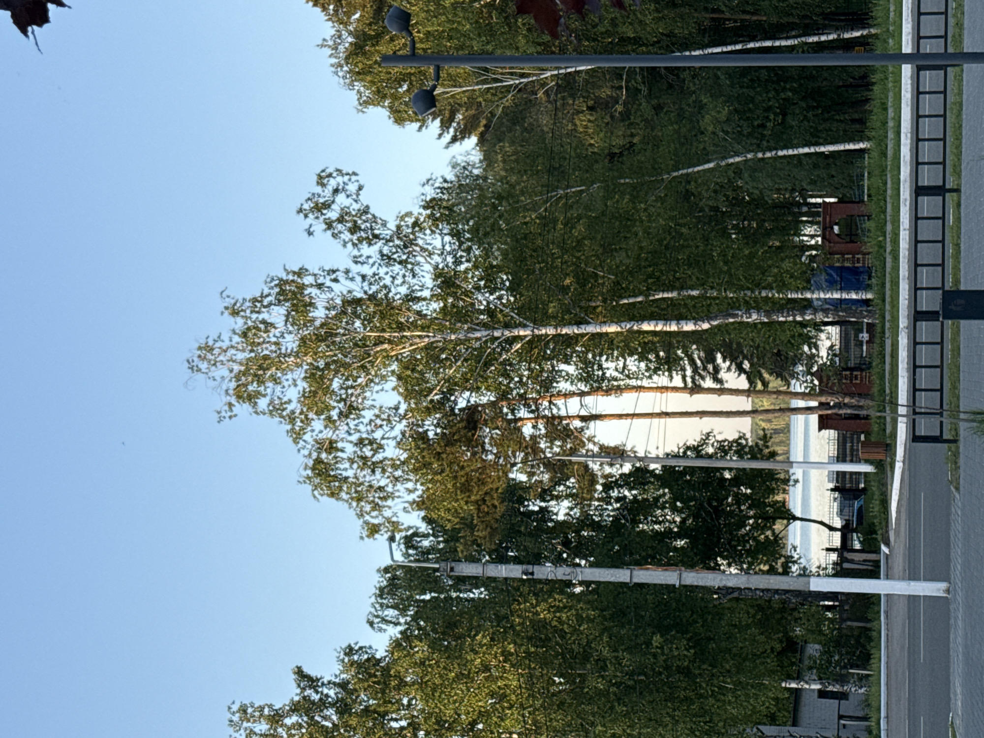 The image shows a view in Chaikovsky, Russia. In the foreground, there is a paved walkway or road running vertically with a grassy area on its right. Beyond the grassy area, there is a row of trees, including birch trees with their characteristic white bark, with some light visible between the trees, suggesting a body of water behind them. A utility pole runs through the trees and light fixtures are visible. The sky is clear and light blue, with some tree foliage visible in the upper left. In the background, one can see the lake and park.