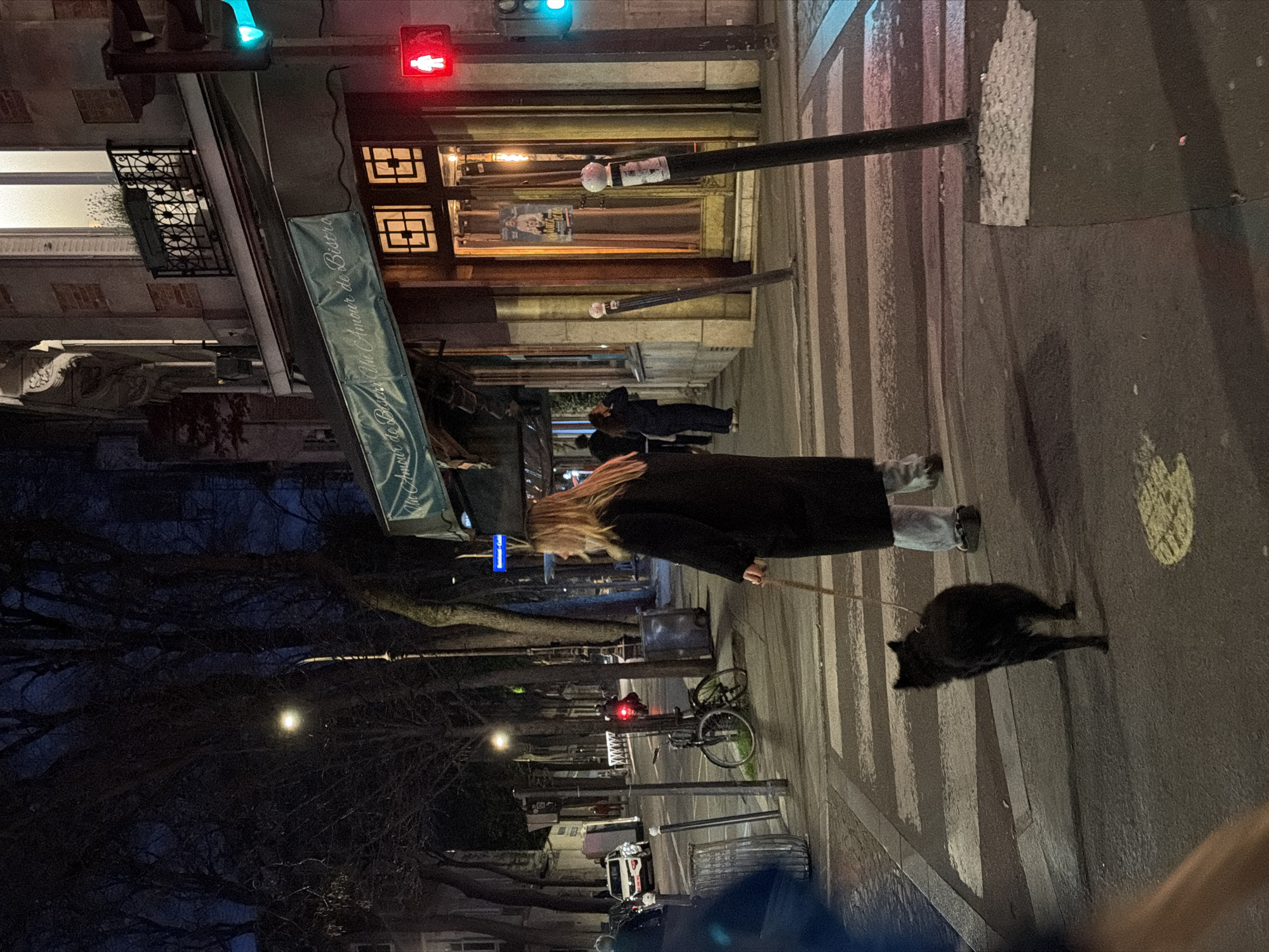 A person with blonde hair, wearing a black coat and light-colored jeans, is walking a black dog on a leash across a crosswalk in Paris, France. Traffic lights are visible with one showing a red light and another a green light. A bicycle is parked on the side of the road. Buildings with windows are visible, along with a sign that reads "L'Amour de Bistro." Trees with bare branches line the street.