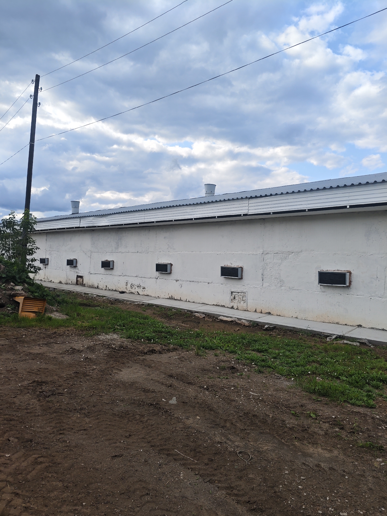 The image shows the exterior of a long, white, concrete building with a corrugated metal roof. Several rectangular vents are visible along the wall of the building. A wooden utility pole with wires extends upwards into a cloudy sky. In the foreground, there is a dirt path and some overgrown grass. To the left of the building, a yellow grate is visible. The scene appears to be an industrial or agricultural setting.