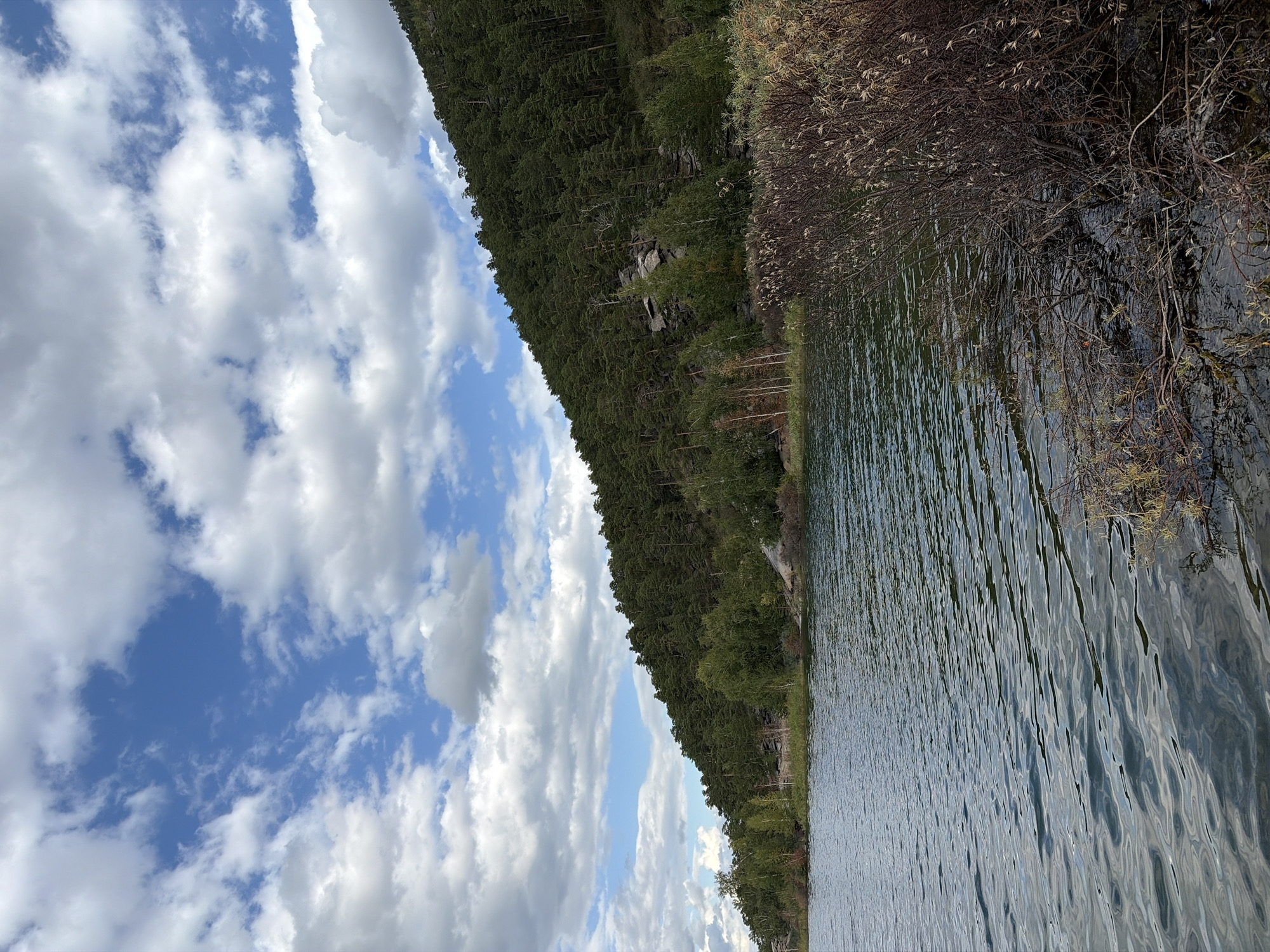 The image depicts a serene natural landscape on a partially cloudy day. In the foreground, a body of water, likely a lake, occupies the lower half of the frame, its surface rippled by a gentle breeze. The water reflects the sky and the surrounding greenery. To the right of the water's edge, dense, dry brush and reeds are visible, partially submerged in the water, suggesting a marshy or shallow area.
The background features a steep, densely forested hill that slopes down towards the water. The forest appears to be composed primarily of evergreen trees, with scattered deciduous trees and rocky outcrops visible amongst the foliage. The hill dominates the upper right portion of the image.
The sky above is a dynamic mix of blue sky and white, fluffy clouds, indicating fair weather with some atmospheric activity.
The scene is devoid of any human presence or man-made structures, emphasizing the natural and untouched quality of the environment. The overall impression is one of tranquility and natural beauty, characteristic of a lakeside forest setting. The location is identified as Зелёный Бор ауылдық округі, Kazakhstan.