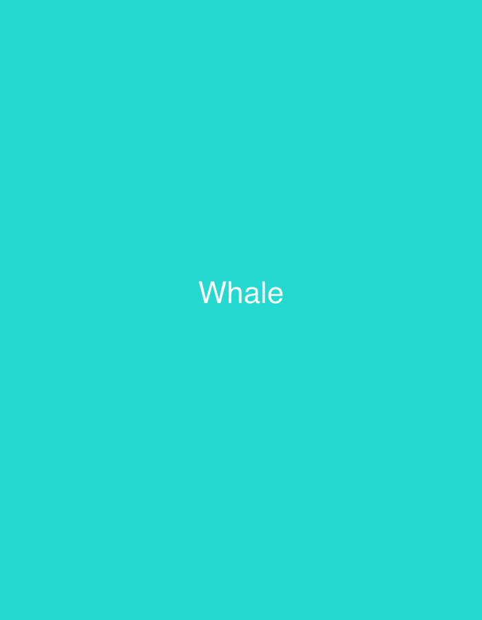 The image displays the word "Whale" in white text, centered on a solid teal background. The text is horizontally aligned. There are no other objects or discernible features in the image. There is no information about the city of Shumen, Bulgaria, in the provided image.