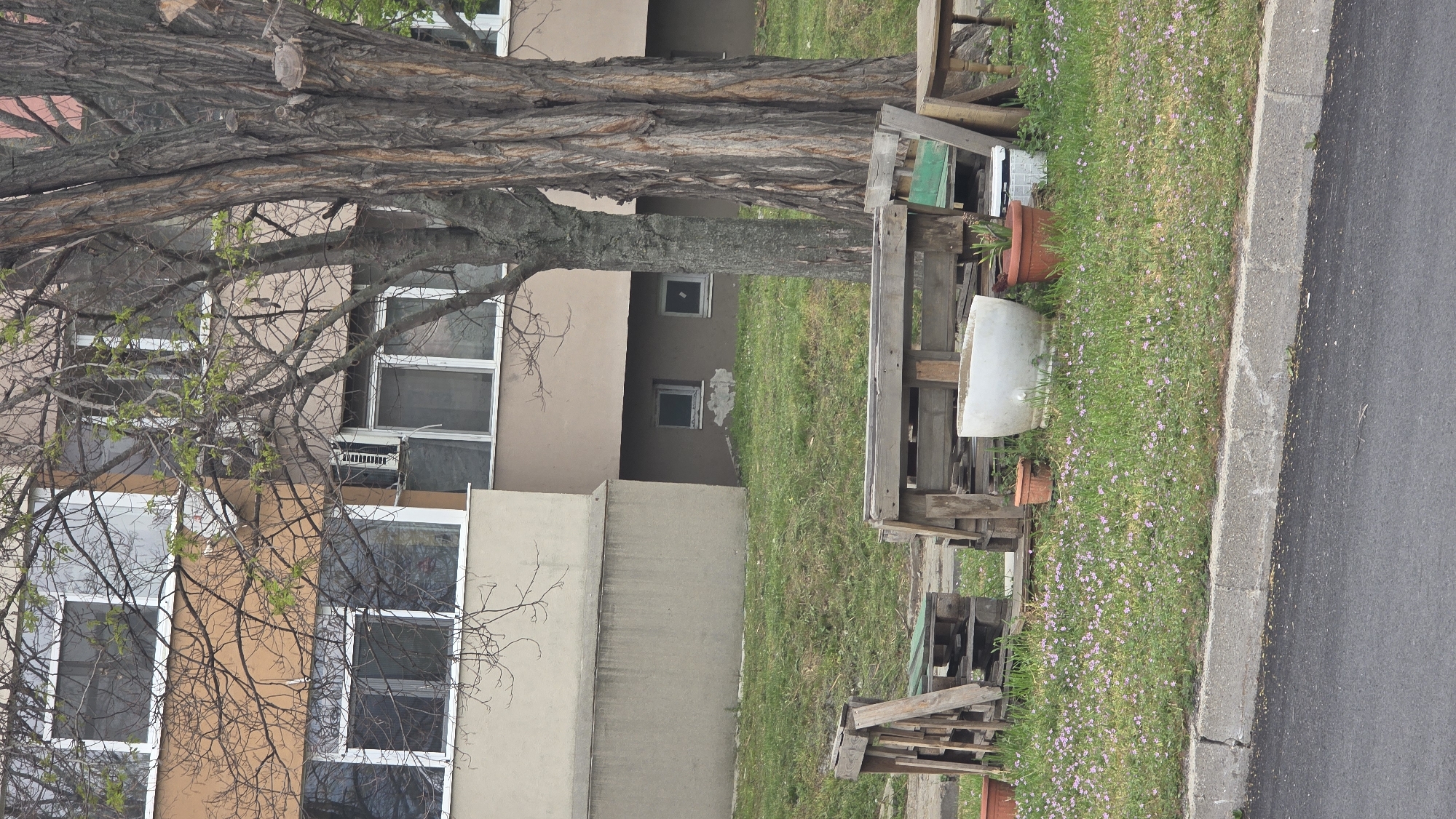 The image shows a building in Blagoevgrad, Bulgaria. The building has multiple windows, some with air conditioning units. A large tree stands in front of the building. Beside the tree is a collection of wooden pallets, flower pots, and a large white container along a roadside. The scene shows a combination of residential architecture and roadside.