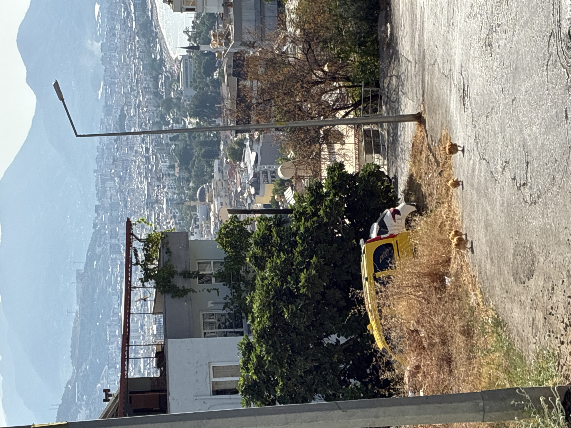 The image depicts a view overlooking the city of Alanya, Turkey, with mountains in the background. In the foreground, a paved road slopes downwards, with a few small chickens walking on it. To the left, a yellow van is parked behind dry, tall grass and some debris. A tall street light stands prominently on the right side of the road, casting a shadow. In the mid-ground, a multi-story building with a balcony and some greenery is visible. The background reveals a dense urban landscape with many buildings, a body of water, and more distant mountains. The overall scene suggests an urban environment with elements of nature and everyday life.