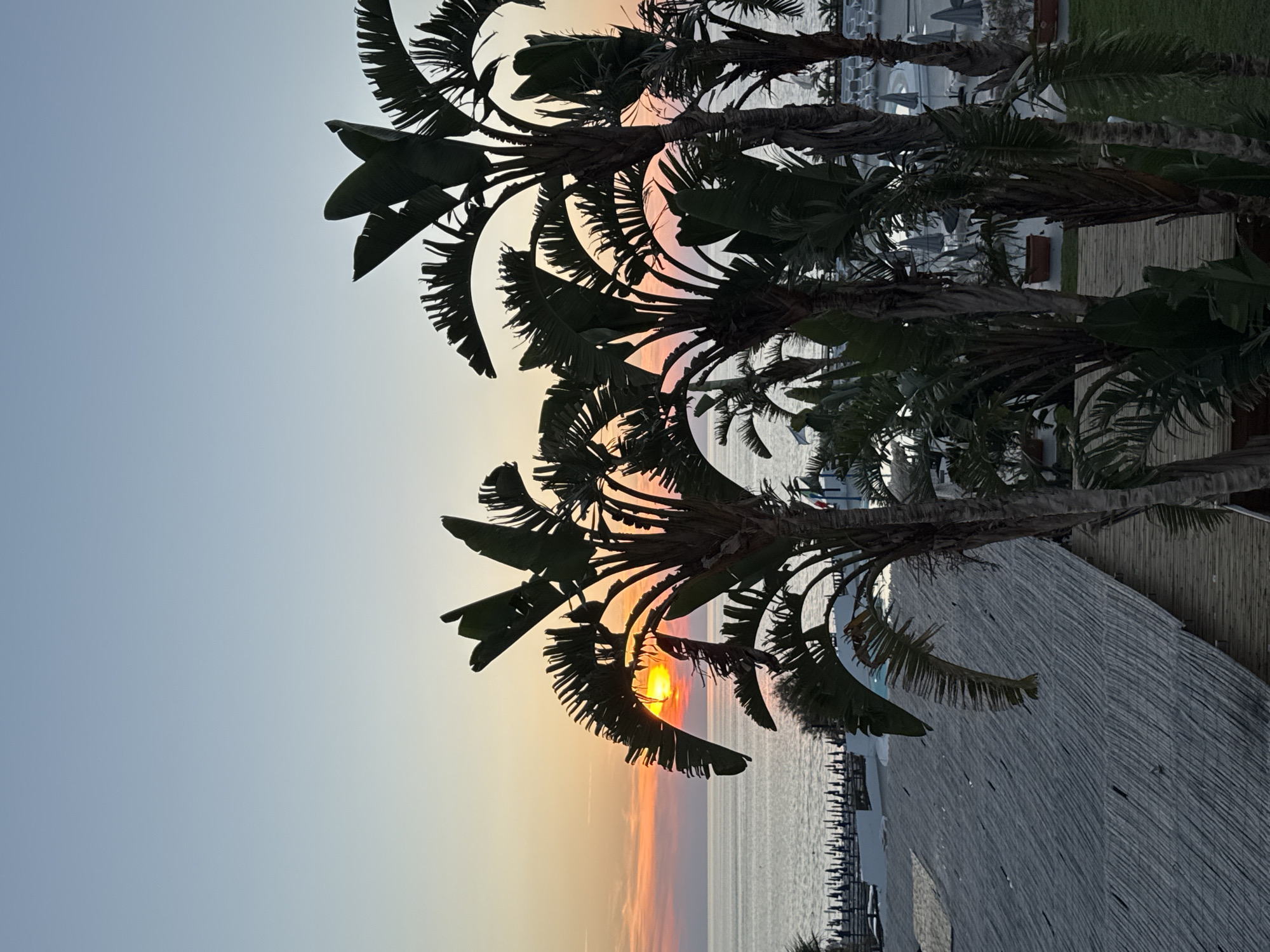 This media file captures a serene sunset scene at a beach, likely in Isola delle Femmine, Italy. The image is oriented vertically, with palm fronds dominating the foreground. The sun, a brilliant orange orb, is partially obscured by the fronds, casting a warm glow across the sky. The sky transitions from a pale blue at the top to soft hues of pink and orange near the horizon, indicating the approaching twilight.
Beyond the palm trees, a calm body of water stretches out, meeting the horizon. A pier with numerous vertical posts is visible in the middle ground, suggesting a waterfront area. In the background, there are hints of lounge chairs and umbrellas, characteristic of a beach resort. A thatched-roof structure, possibly a part of the resort, occupies the right side of the frame, its texture adding a rustic element to the scene.
The overall atmosphere is one of tranquility and natural beauty. The composition, with the silhouetted palm trees against the colorful sky, evokes a sense of peacefulness associated with a tropical or Mediterranean sunset. There is no visible text in the image. The time of day is clearly sunset, and the weather appears to be clear and calm.