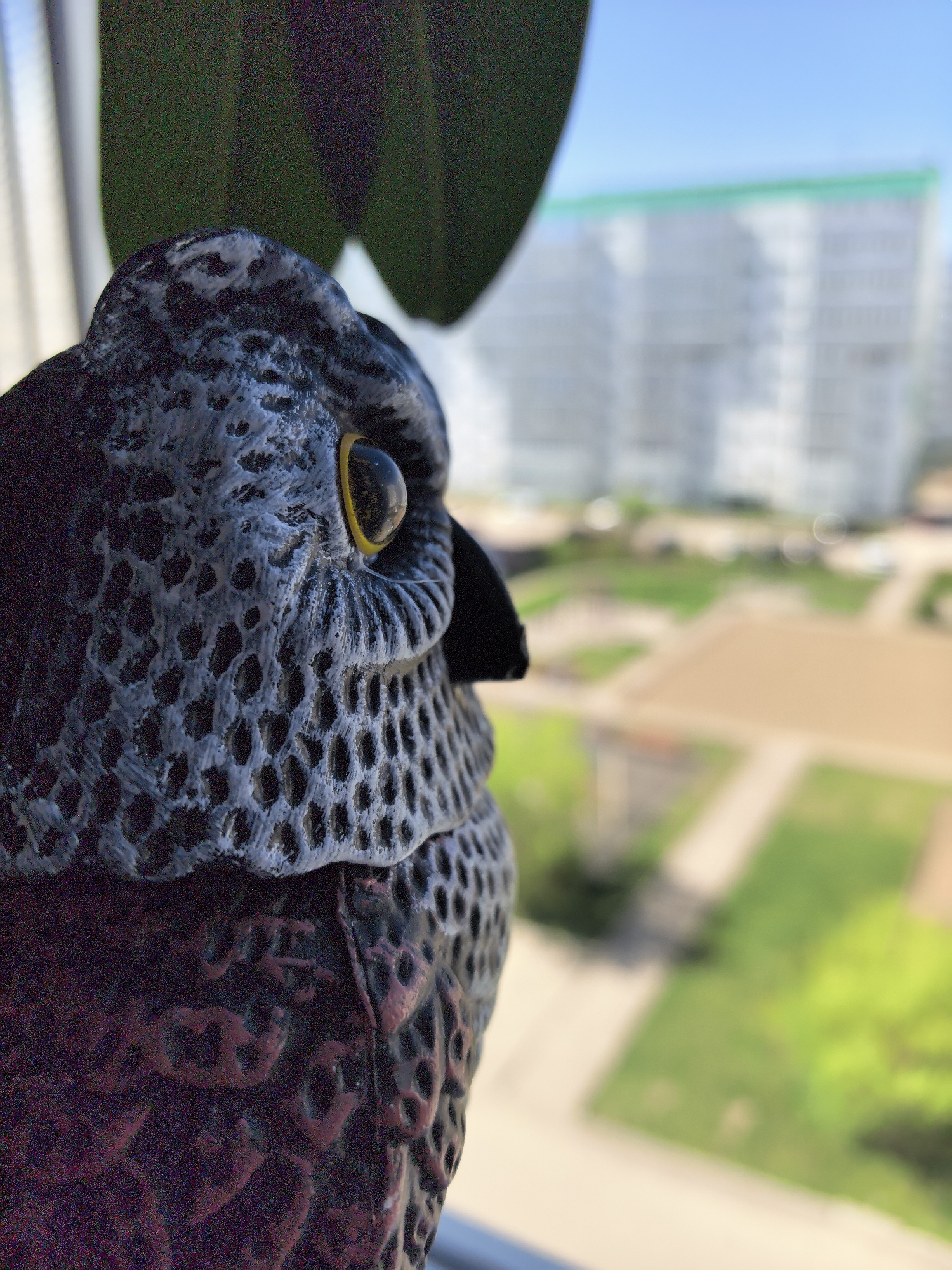 A close-up shot features a plastic owl decoy perched indoors near a window. The owl is grey and black with yellow eyes and textured plumage. Outside the window, the blurred background shows green grassy areas, walkways, and apartment buildings with a light green roof in Фролы, Russia.