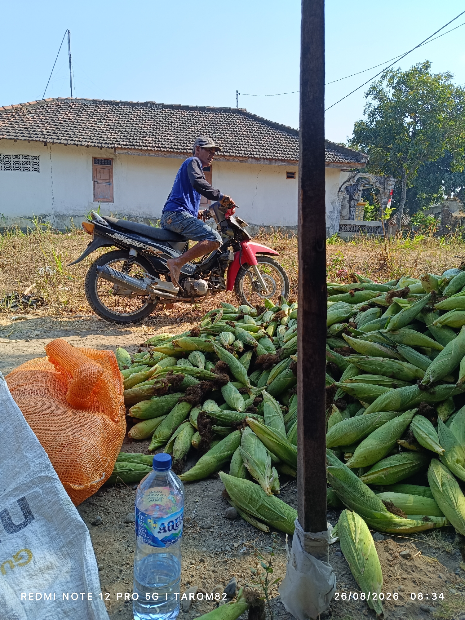 A man wearing a blue long-sleeved shirt, blue shorts, and a grey baseball cap is riding a motorcycle, possibly a Yamaha, on a dirt road. He is carrying a load of corn. In the foreground, there is a large pile of harvested corn. To the left of the corn pile is an orange mesh bag and a white sack. A bottle of Aqua brand mineral water is placed on the ground near the corn. In the background, there is a white house with a tiled roof and a green tree. The scene appears to be in a rural or agricultural area. The text on the image indicates it was taken in Tarom82, Kepung, Indonesia on August 26, 2026, at 08:34.