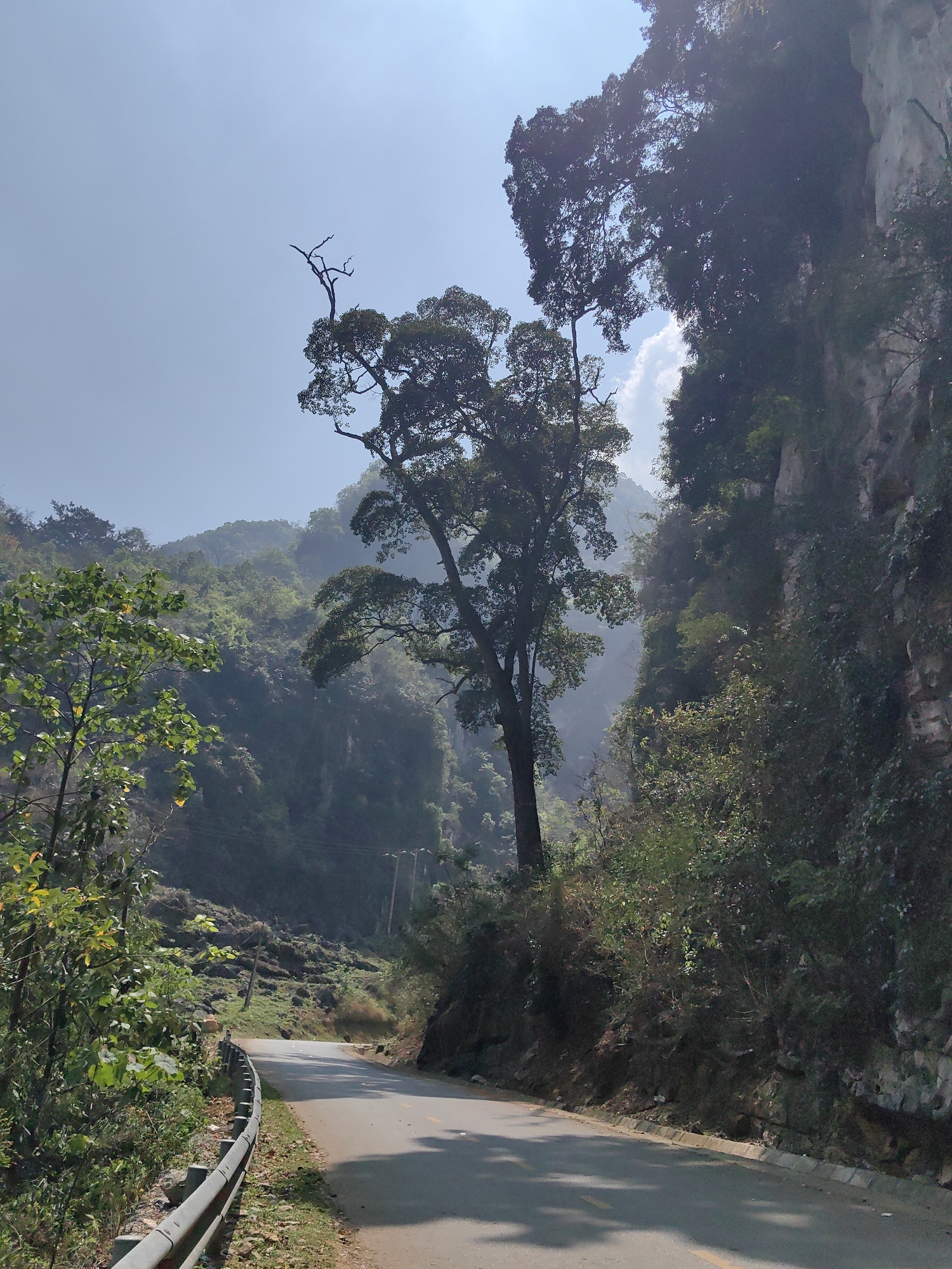 A daytime scene in Xã Khánh Xuân, Vietnam, shows a paved road winding through a lush, mountainous landscape. The road is bordered by a metal guardrail on the left. A large, leafy tree stands prominently along the roadside. To the right, a steep rock face is covered in dense vegetation. Mountains are visible in the background under a bright, hazy sky. The road appears to be lightly shaded in areas.