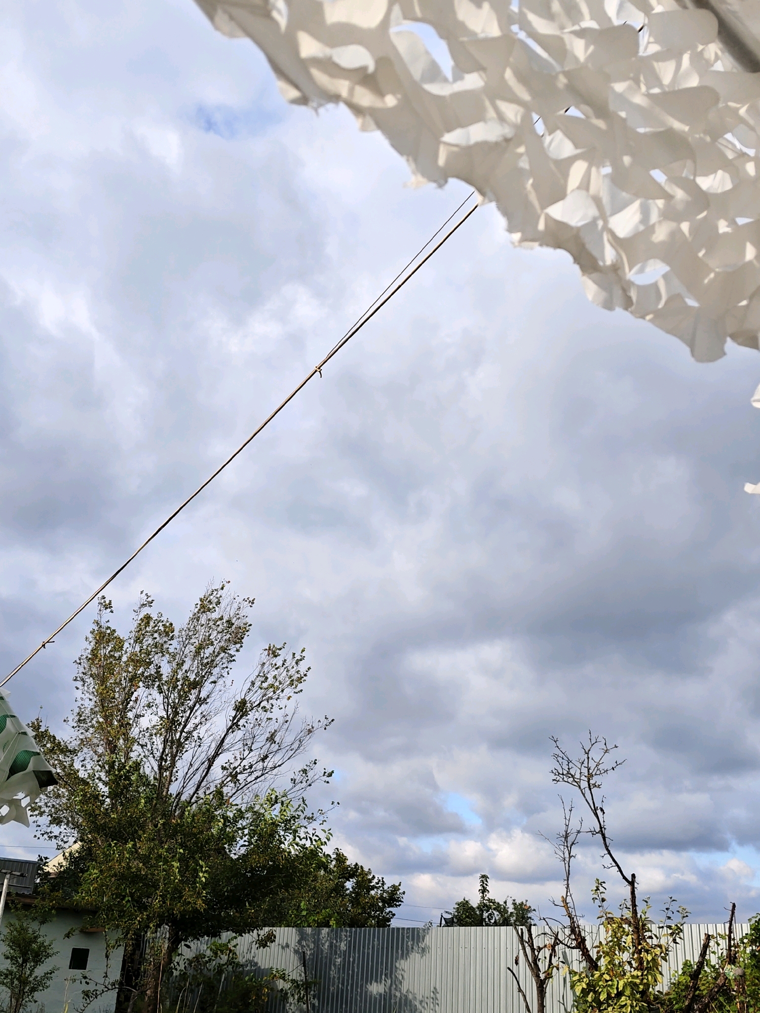 The image depicts an outdoor scene under a cloudy sky, likely in the city of Olginskaya, Russia. In the foreground, a white, patterned fabric or net is draped from above, creating a decorative canopy. A thin wire or cable stretches diagonally across the sky from the upper left to the center right. Below the canopy and wire, a large, leafy green tree dominates the left side of the frame, with a portion of a light-colored building visible behind it. A corrugated metal fence runs horizontally across the lower part of the image, separating the foreground from a background featuring more trees and vegetation, including a bare-branched tree on the right. The overall impression is one of a residential or garden area, possibly with a focus on outdoor decoration or shade.