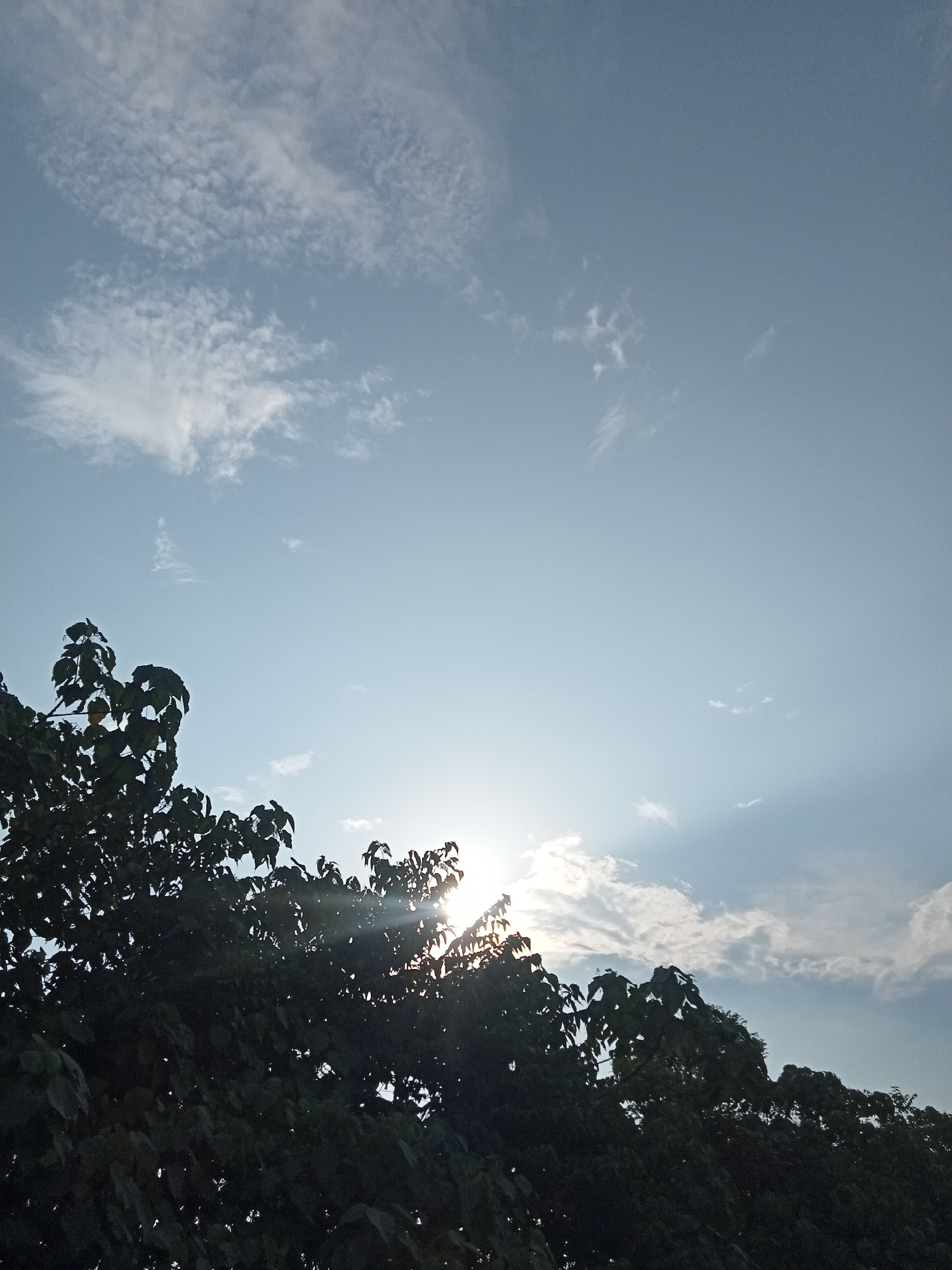 The image shows a view of the sky with some trees in the foreground. The sky is a pale blue with scattered white clouds. The sun is visible, peeking through the leaves of the trees, casting rays of light. The trees are dark green and silhouetted against the bright sky. The image appears to have been taken in Teluk Kenidai, Indonesia, judging by the context provided. There are no people or animals visible in the image, and no specific actions or interactions are depicted. The environment is natural, with a focus on the sky and foliage.