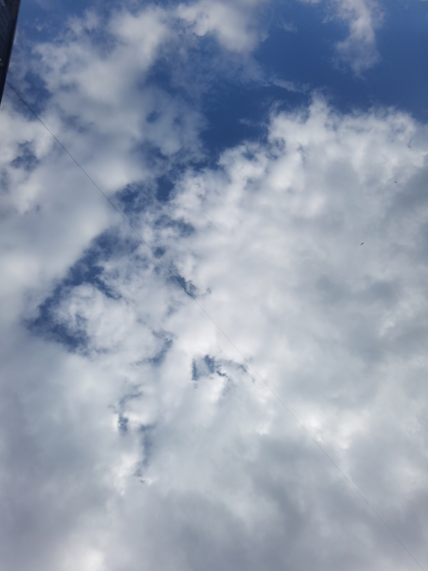 This image captures a cloudy sky with a clear blue expanse visible in the upper left quadrant. A thin, dark line, likely a wire or cable, diagonally traverses the frame from the upper left to the lower right. In the middle right of the image, two small, dark silhouettes of birds are visible, appearing to be in flight. The rest of the sky is filled with varying shades of white and gray clouds, with some areas showing darker, more dense formations. The perspective is upward, as if taken from the ground looking towards the sky. There are no discernible landmarks or elements that specifically place the image in Chaikovsky, Russia; it's a generic sky scene.
