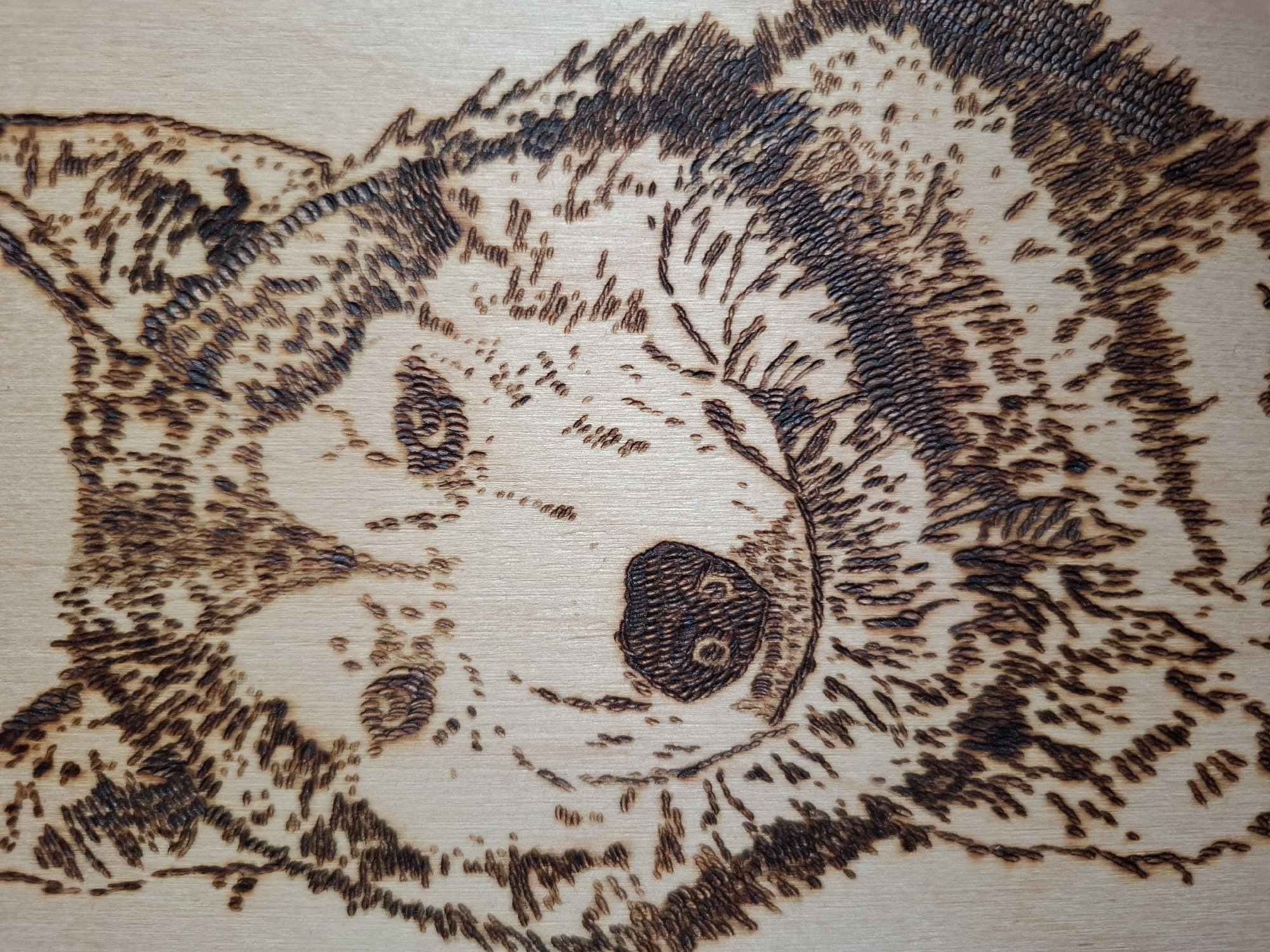 The image shows a wood burning of a dog's face. The dog is facing the viewer with its nose slightly to the right. The fur is depicted with short, dense burn marks. The nose is a darker, more solid burn. The image is taken at close range. There is no indication of the location being Амзя, Russia.