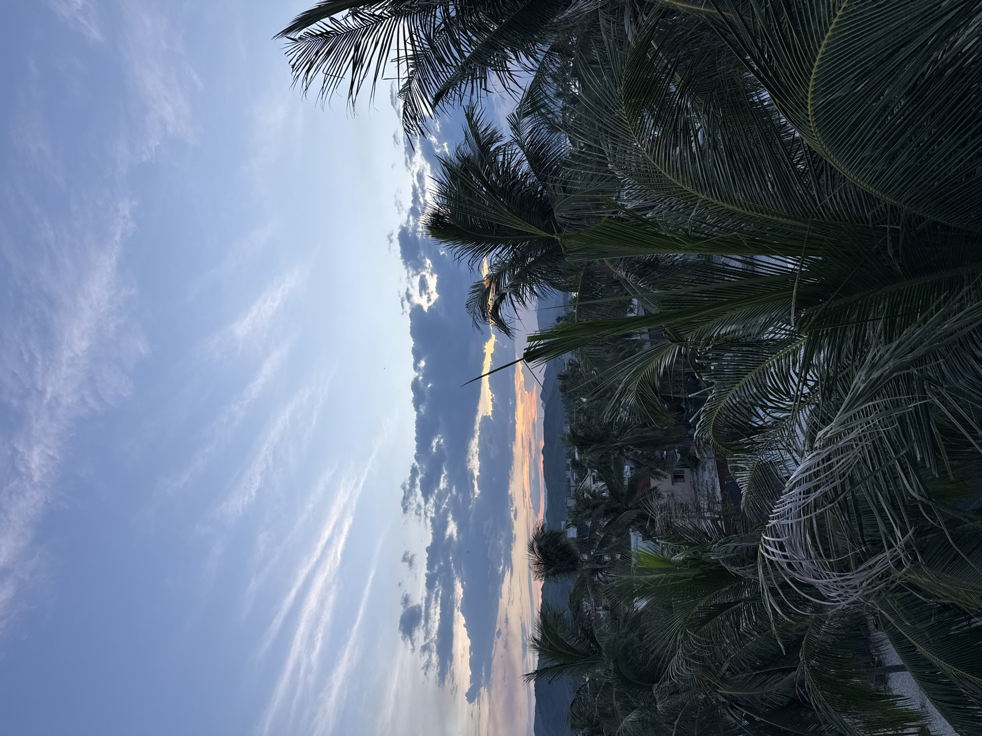 The image captures a serene sunset scene over a tropical location. The sky is painted with hues of blue, transitioning to soft oranges and pinks near the horizon, where a few scattered clouds are visible. Wispy cirrus clouds stretch across the upper portion of the sky. In the foreground, lush green palm trees dominate, their fronds creating a natural frame for the scene. Beyond the trees, a glimpse of a town or village can be seen with buildings nestled amongst the greenery, and rolling hills form the backdrop against the colorful sky. The overall impression is one of tropical tranquility as day turns to evening.