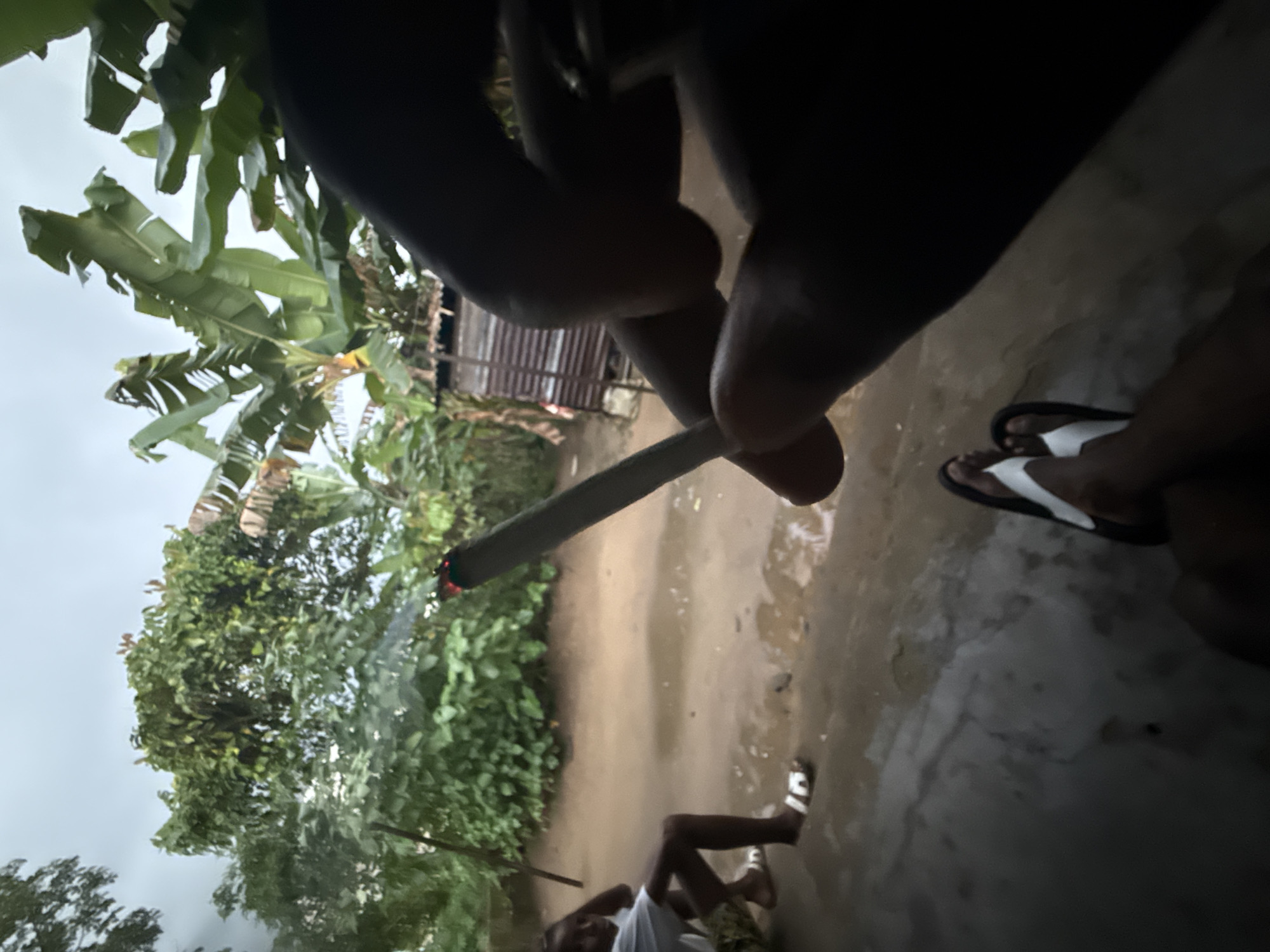 The image depicts an outdoor scene, likely in a rural or semi-rural area, with lush greenery and banana trees visible. In the foreground, a hand is holding a lit cigarette, with the smoke rising. A person, possibly a child, is sitting in the mid-ground on the left, wearing a white t-shirt and sandals. The ground appears to be wet or muddy. In the background, there is a simple structure, possibly a shed, with corrugated metal walls. The overall lighting suggests it is either early morning or late evening, with an overcast sky. The specific location in Uyo, Nigeria, cannot be determined from the visual information alone.