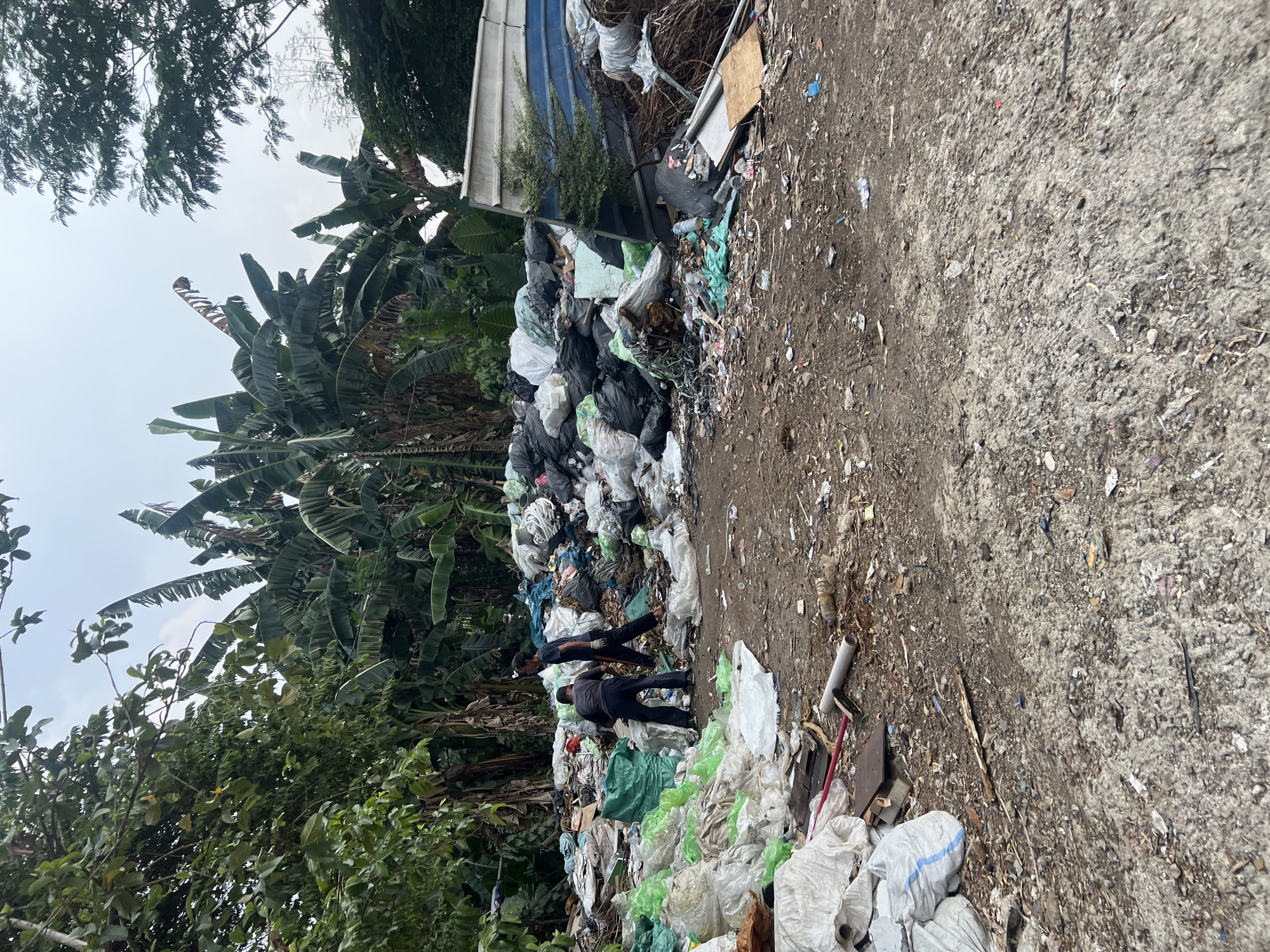 The image depicts an outdoor scene in Klapanunggal, Indonesia, characterized by a large accumulation of trash and debris. In the mid-ground, two individuals are present amidst the refuse. One person, wearing a dark shirt and pants, is bent over, seemingly interacting with the garbage. The other person, in a dark t-shirt and black pants, is walking away from the first individual and towards the right side of the frame.
The environment is dominated by piles of various waste materials, including plastic bags (some green and white), black garbage bags, and what appear to be shredded materials. The ground is a mix of dirt, gravel, and smaller pieces of trash. In the background, lush green vegetation, including banana trees, is visible, contrasting with the discarded waste. A partial view of a blue and white structure, possibly a building or shelter, is present on the right side, partially obscured by more debris. The sky above is overcast. The scene suggests an informal waste disposal or sorting area.