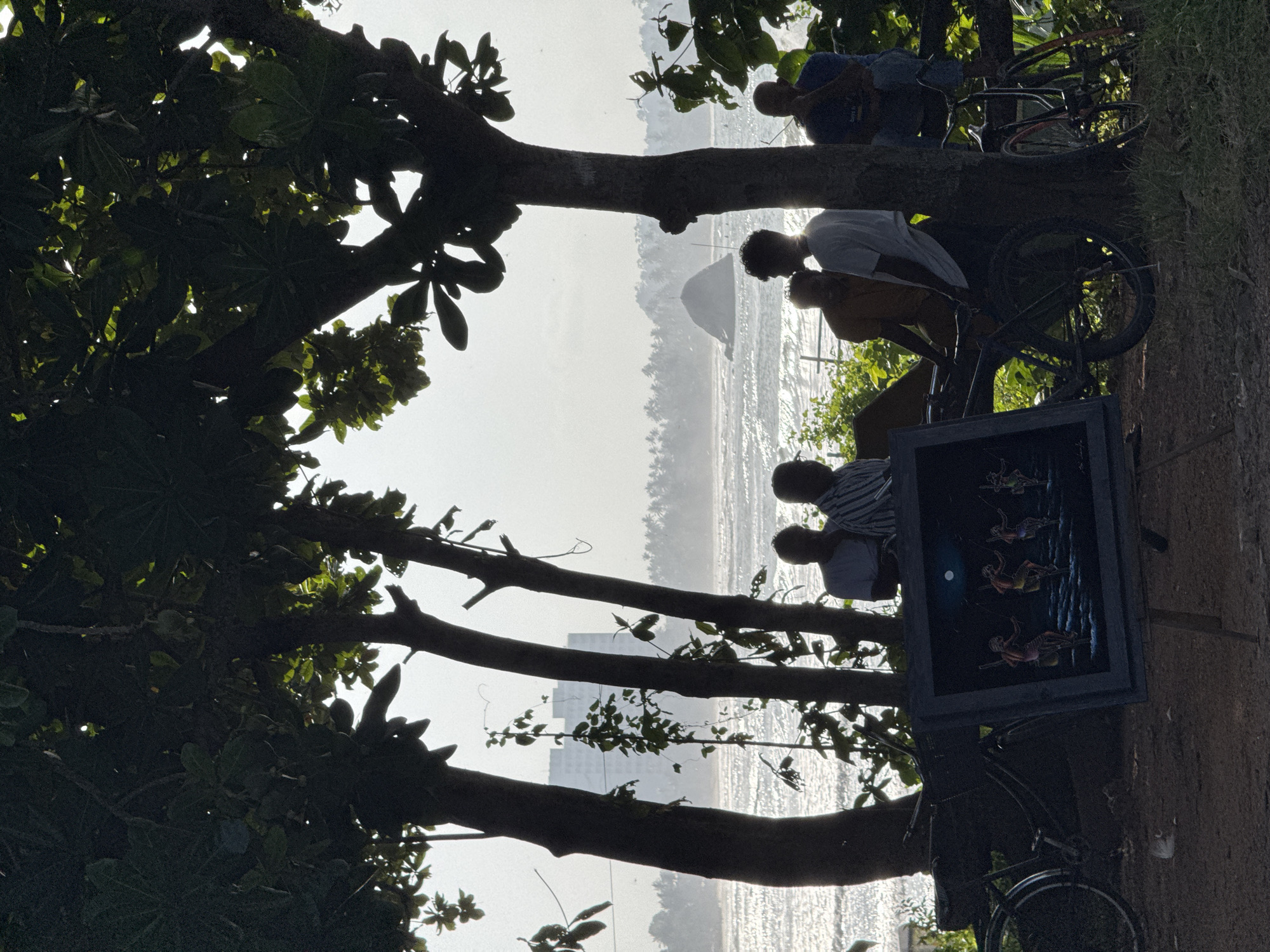 In Weligama, Sri Lanka, a group of men are gathered under the shade of trees overlooking the ocean. The sun glints off the water, creating a bright, hazy backdrop. In the foreground, a painting on an easel depicts several figures dancing. Two bicycles are parked nearby, suggesting they are used for transportation. The men are conversing, and their silhouettes are cast against the bright, sunlit sea and the distant coastline lined with palm trees. A large rock formation juts out of the water offshore, adding a distinctive landmark to the scene. A tall building is visible in the distance, partially obscured by the trees and haze.