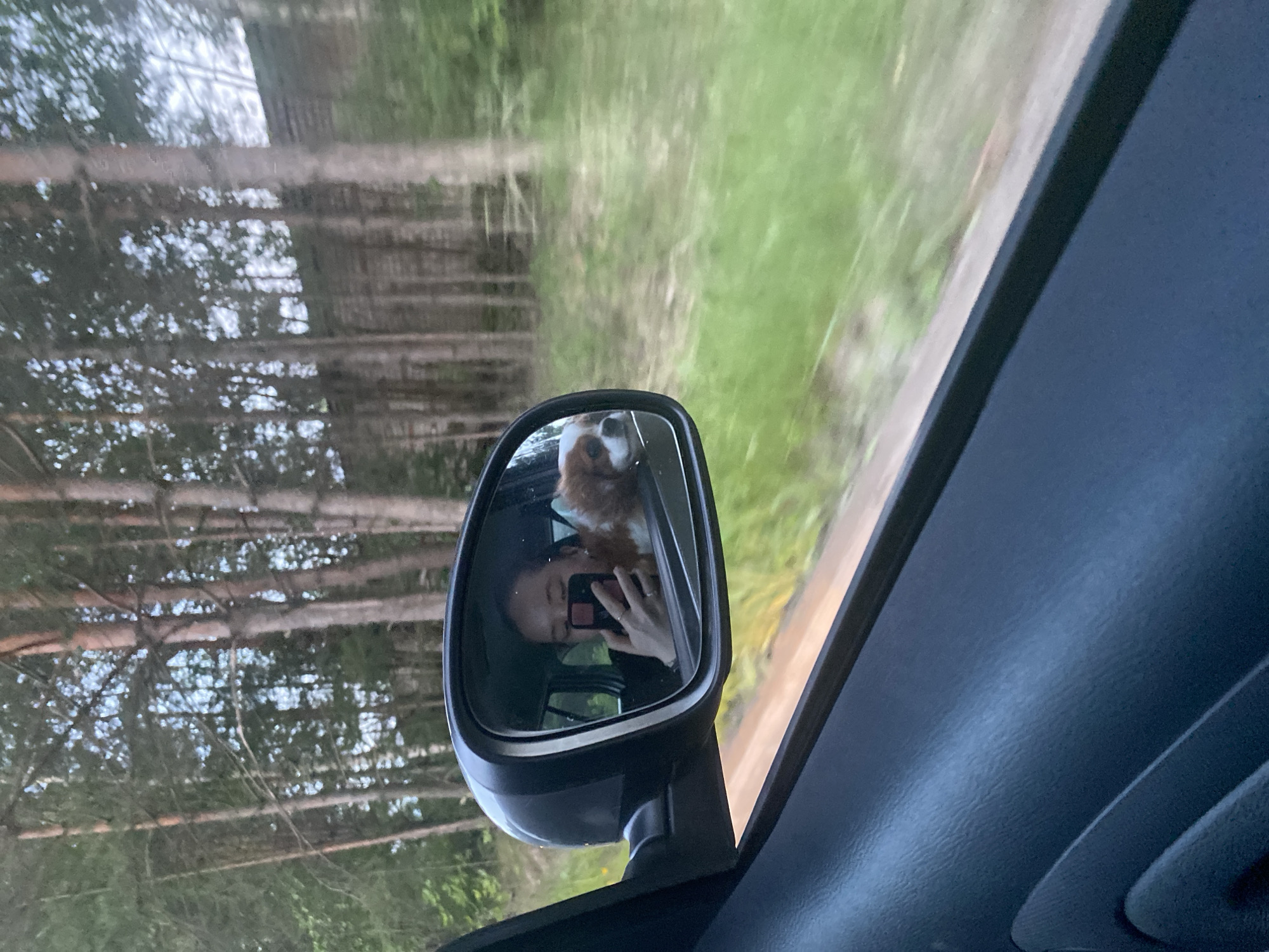 A car's side mirror reflects a young woman taking a selfie with her phone, her Cavalier King Charles Spaniel beside her. They are in a car driving through a forest, with tall, thin trees lining the road. The background shows a blur of green grass and more trees, indicating movement. The woman is wearing a dark shirt and several rings on her fingers. The dog has brown and white fur.