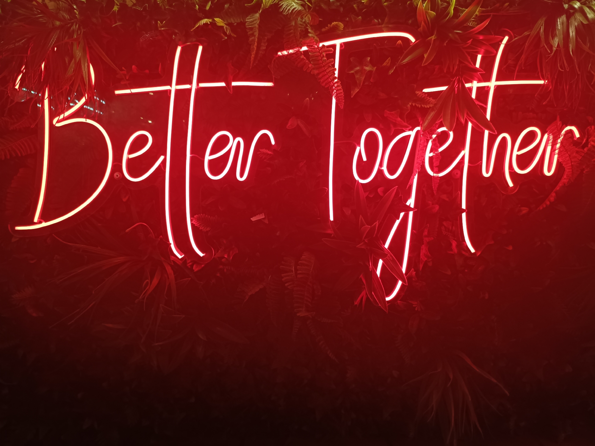 The image shows a neon sign spelling "Better Together" in bright red, set against a backdrop of lush green foliage. The neon lights are crisp and luminous, casting a warm glow. The foliage appears to be tropical or jungle-like, with ferns and broad leaves creating a textured, dark green background that contrasts with the vibrant red of the sign. The overall atmosphere is inviting and celebratory. There is no discernible information in the image to suggest a location in San Gabriel, Spain.