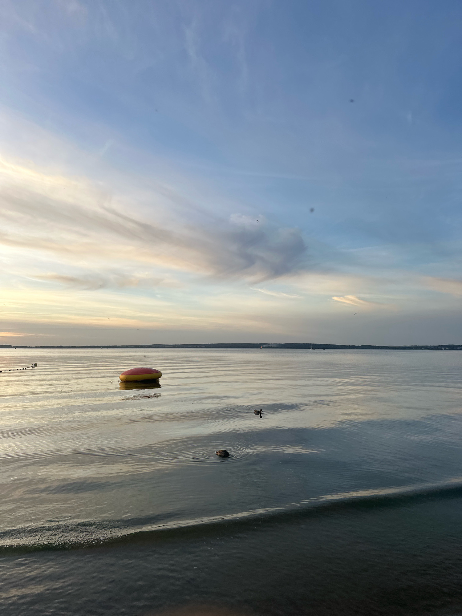 The image shows a serene lake scene at dusk. The sky is a gradient of pale blue and wispy clouds tinged with sunset colors. On the water, a yellow and red buoy floats near the center, with two ducks swimming in the foreground. The water is calm, with gentle ripples reflecting the sky. In the distance, the horizon is marked by a faint tree line and several small boats. The overall atmosphere is peaceful and tranquil. The location is in the vicinity of Ждановіцкі сельскі Савет, Belarus.