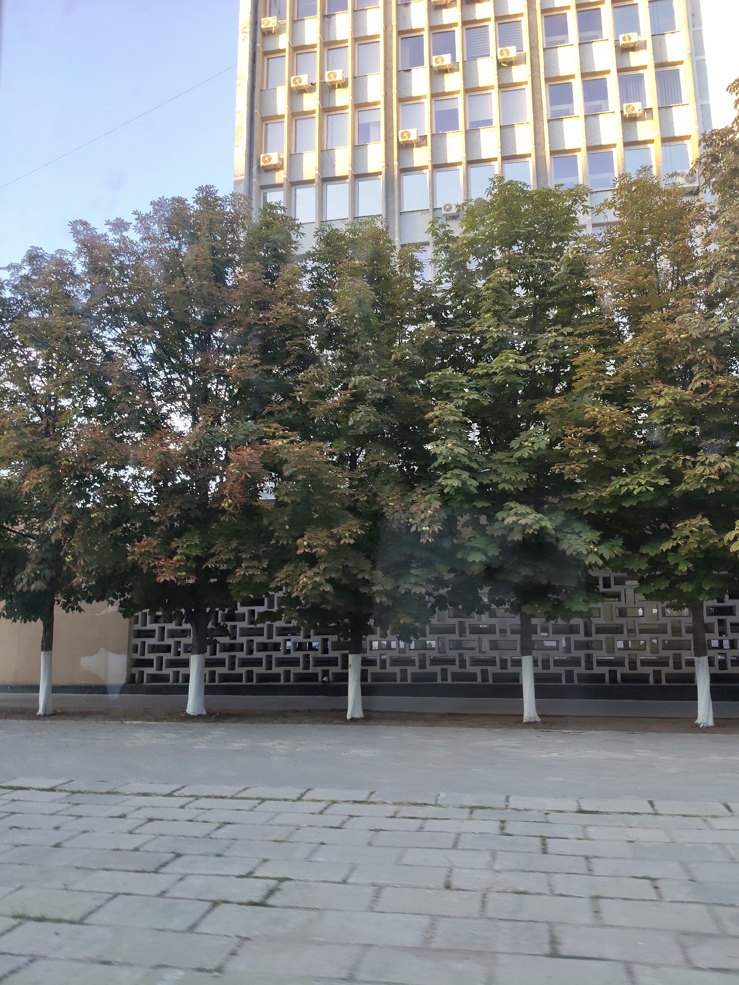 A multi-story building with numerous windows and air conditioning units stands behind a row of trees with green and brown leaves. The building's facade is a light yellow and grey color, and the windows are arranged in a grid pattern. The trees are in front of a decorative concrete wall with a repeating rectangular pattern. The ground in front of the trees is paved with grey rectangular stones. The sky is clear and blue. The scene appears to be an urban environment, possibly a street or a courtyard in Chișinău, Moldova.