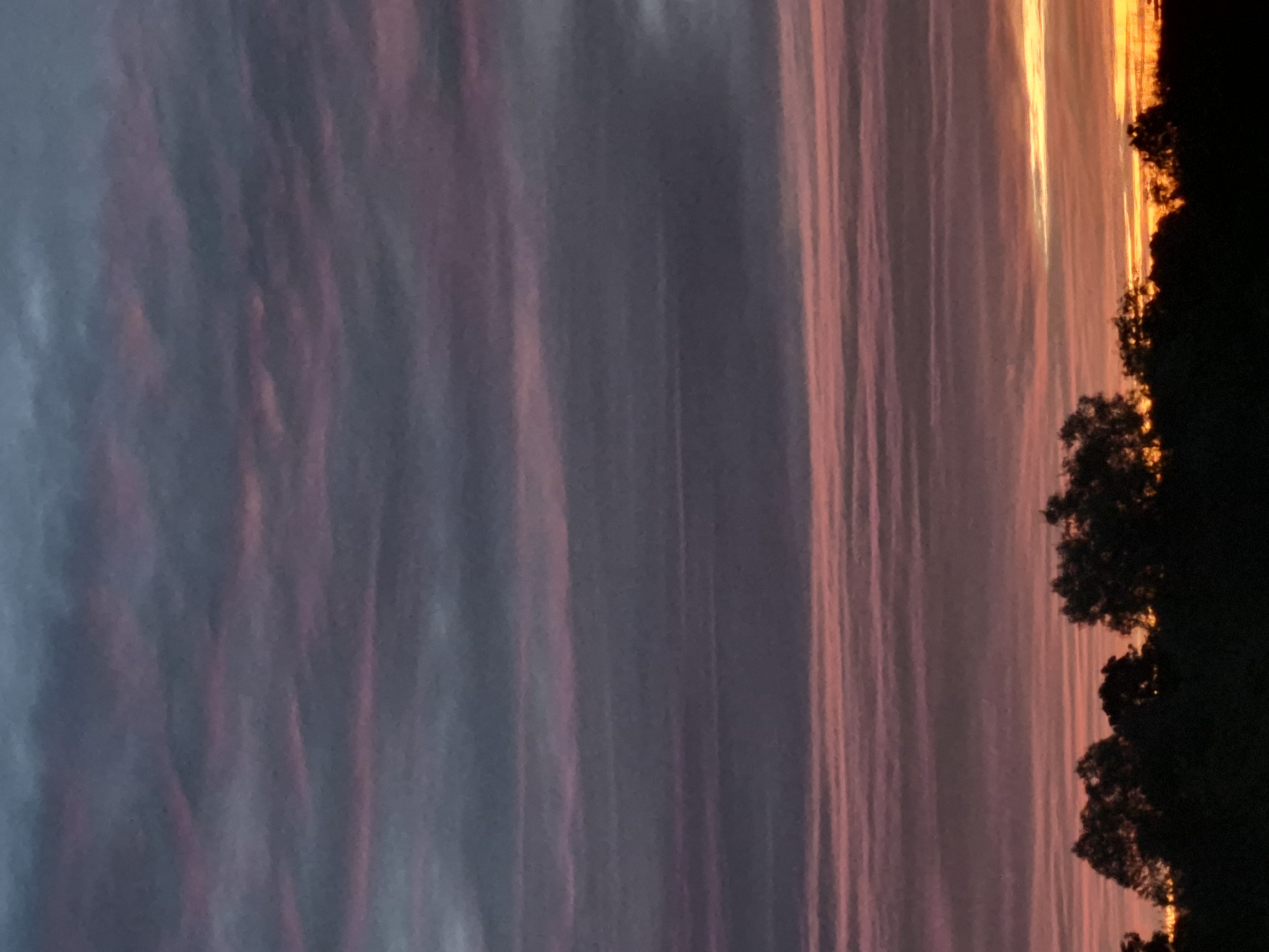 This is a photograph of a sunset over a silhouetted treeline, likely taken in the city of Sooblase, Estonia. The sky is filled with layered, striated clouds exhibiting a gradient of colors from dark gray and deep purple at the top to vibrant pinks and oranges near the horizon. The clouds appear to be thin and stretched horizontally. Below the sky, a dense, dark silhouette of trees forms the foreground, obscuring any details of the landscape or any potential inhabitants of Sooblase. The lighting suggests the time is dusk, with the last rays of the sun casting warm hues. There are no people or explicit actions depicted in the image; it is a static, natural scene.