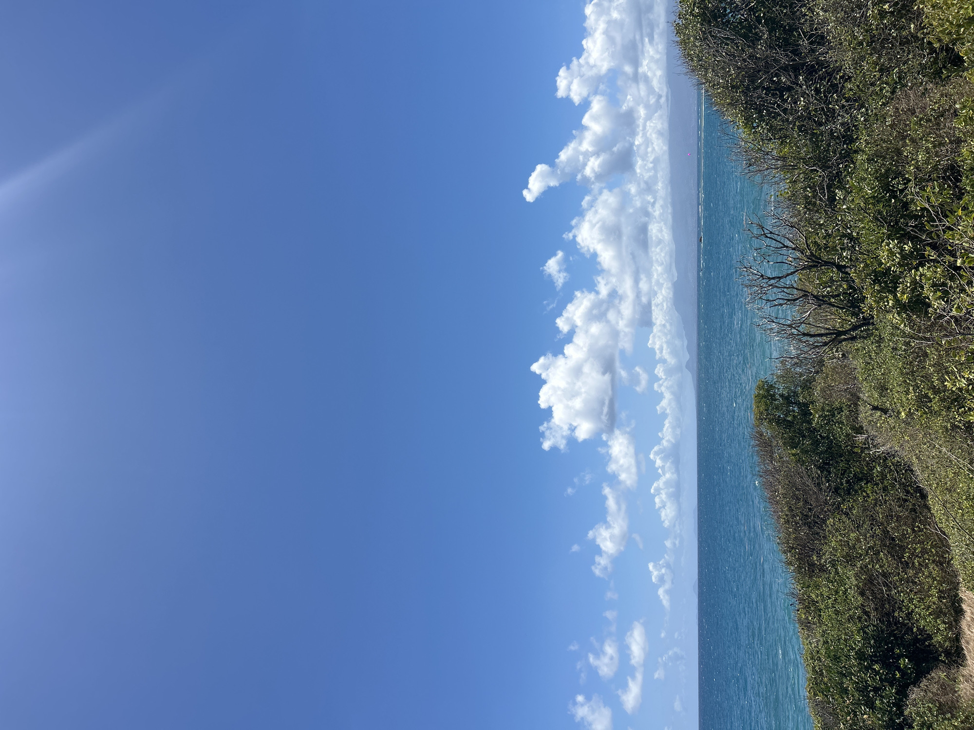 This image depicts a coastal landscape in Le Gosier, France, under a clear, bright blue sky with scattered white cumulus clouds. A prominent sun flare is visible in the upper right quadrant of the sky. The mid-ground features a body of turquoise-blue water exhibiting moderate surface chop and several distant white linear disturbances, possibly boat wakes or currents. A small, indistinct pink object is barely discernible above the water in the far distance, slightly right of center. The foreground and immediate mid-ground are characterized by dense, varied green coastal vegetation, including numerous shrubs and several leafless, gnarled woody stalks. This foliage forms a natural, undulating barrier leading towards the sea. In the distant background, a faint range of dark, hazy mountains or hills is discernible on the horizon to the right, beyond the water. No human subjects or discernible activity are present within the frame.