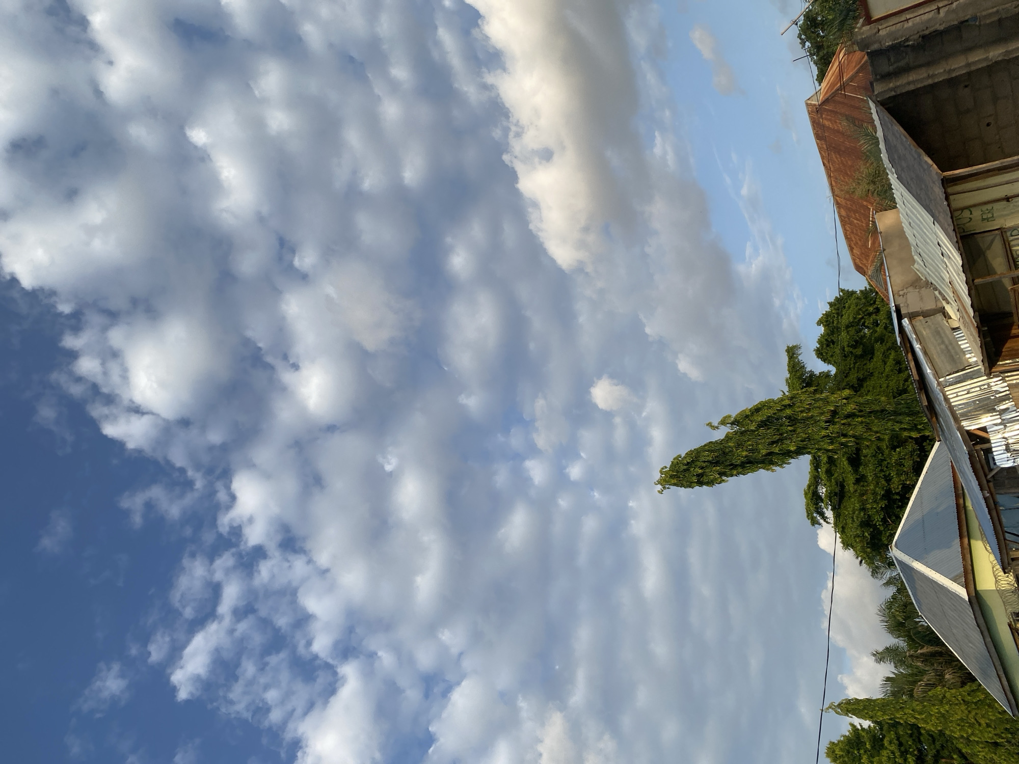 This is a medium shot, low-angle, outdoor, vertical photograph taken in Jauro Yinu, Nigeria. The image depicts a cloudy sky during the day. The clouds are a mix of white and gray, with patches of blue sky visible.
In the foreground, to the right, there is a partial view of some buildings with corrugated metal roofs, some of which appear weathered and rusted. There are also several tall, green trees, one of which is particularly prominent and columnar in shape. The vegetation suggests a tropical or subtropical climate.
The scene appears to be a residential or commercial area, likely in a developing region, given the style of the buildings and the presence of trees. The lighting suggests it could be late afternoon or early morning, as the sun is not directly overhead and casts some shadows. There is no activity or people visible in the image. The overall mood is serene and natural, with the clouds dominating the upper portion of the frame. There is no visible text in the image.