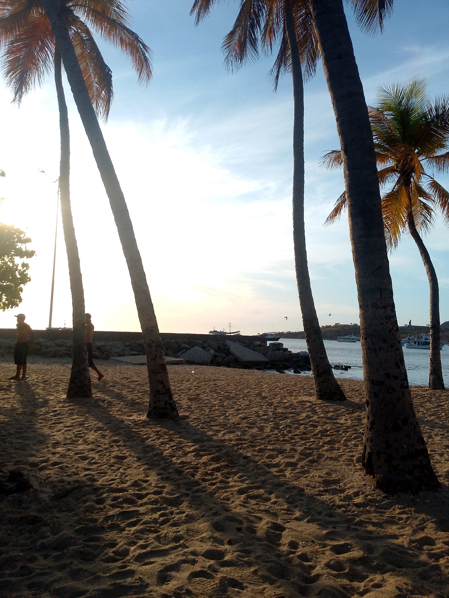 The image depicts a beach scene in Juan Griego, Venezuela. The foreground is dominated by sandy beach, with shadows cast by several tall, slender palm trees. Two men, one wearing a hat, are standing near the trees, and another is walking along the shore. In the background, a breakwater or pier composed of large rocks is visible along the coastline. Beyond this, there is a body of water with several boats. In the distance, a headland or hill is observable on the horizon. The sky is bright with sunlight, suggesting either sunrise or sunset.