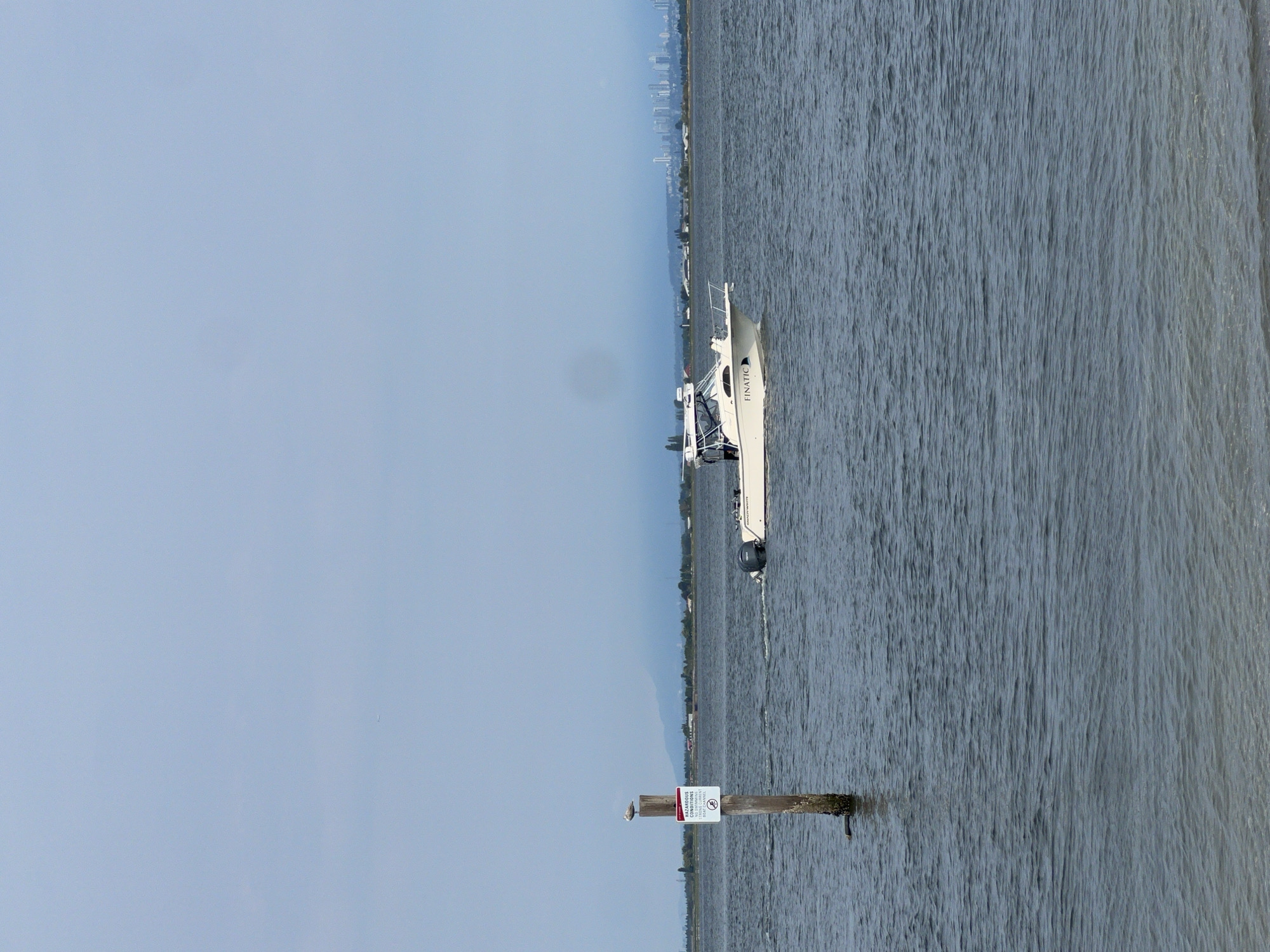A wide shot captures a calm body of water, likely the Fraser River, in Surrey, Canada, under a hazy sky. In the foreground, a wooden post rises from the water, topped with a seagull and two signs. The top sign, rectangular and red-bordered, reads "HAZARDOUS CONDITIONS." Below it, a white sign displays several icons indicating hazards such as strong currents, submerged objects, and restricted areas.
Further out in the water, a white motorboat, named "FINATIC," cruises to the right, its engine visible at the stern. The boat appears to have at least one person onboard. In the distance, a hazy shoreline features trees, buildings, and a distant city skyline. The water is a muted blue-grey, with gentle ripples reflecting the overcast sky. The overall impression is one of a slightly overcast day in a coastal or riverine environment.