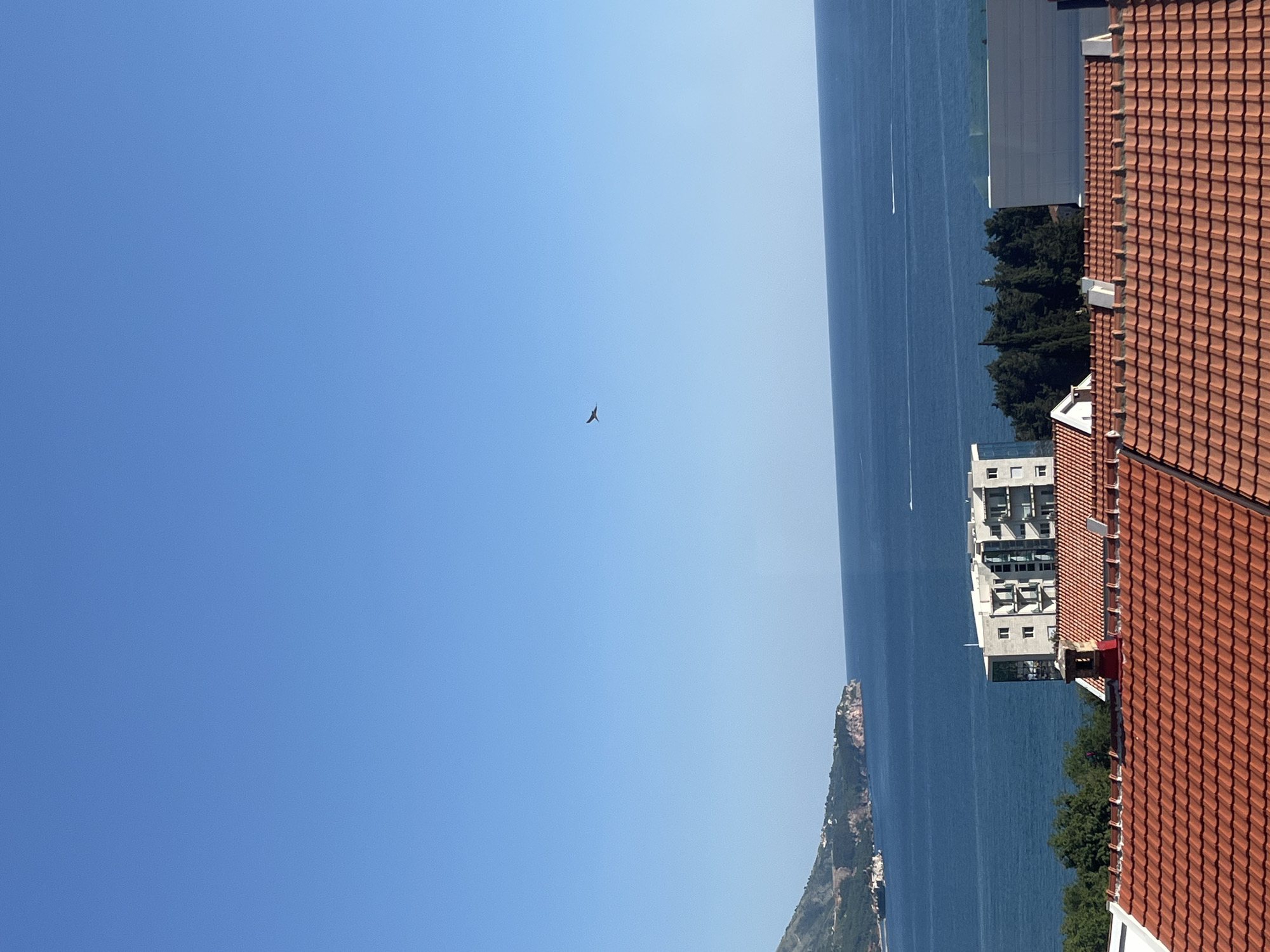 A bird flies in a clear blue sky over the Adriatic Sea, with a view of coastline and buildings, including a red-tiled roof in Bečići, Montenegro.