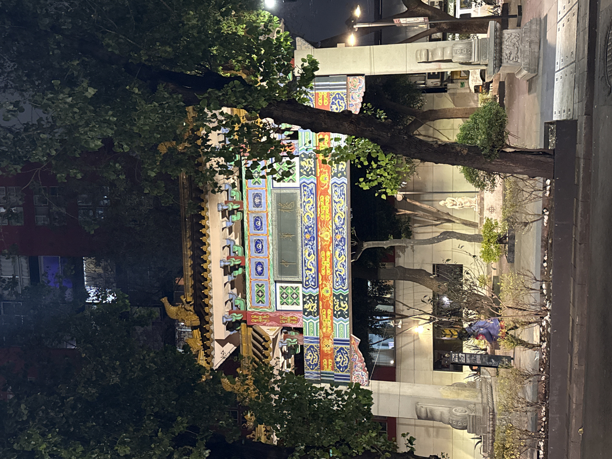 The image shows a colorful traditional-style archway in Mexico City, Mexico, viewed at night through foliage. The archway is brightly painted with geometric and dragon-like patterns. Behind the archway, other buildings are visible, including one with a red exterior and a sign. The archway is partially obscured by trees and plants. The overall scene is lit by streetlights.