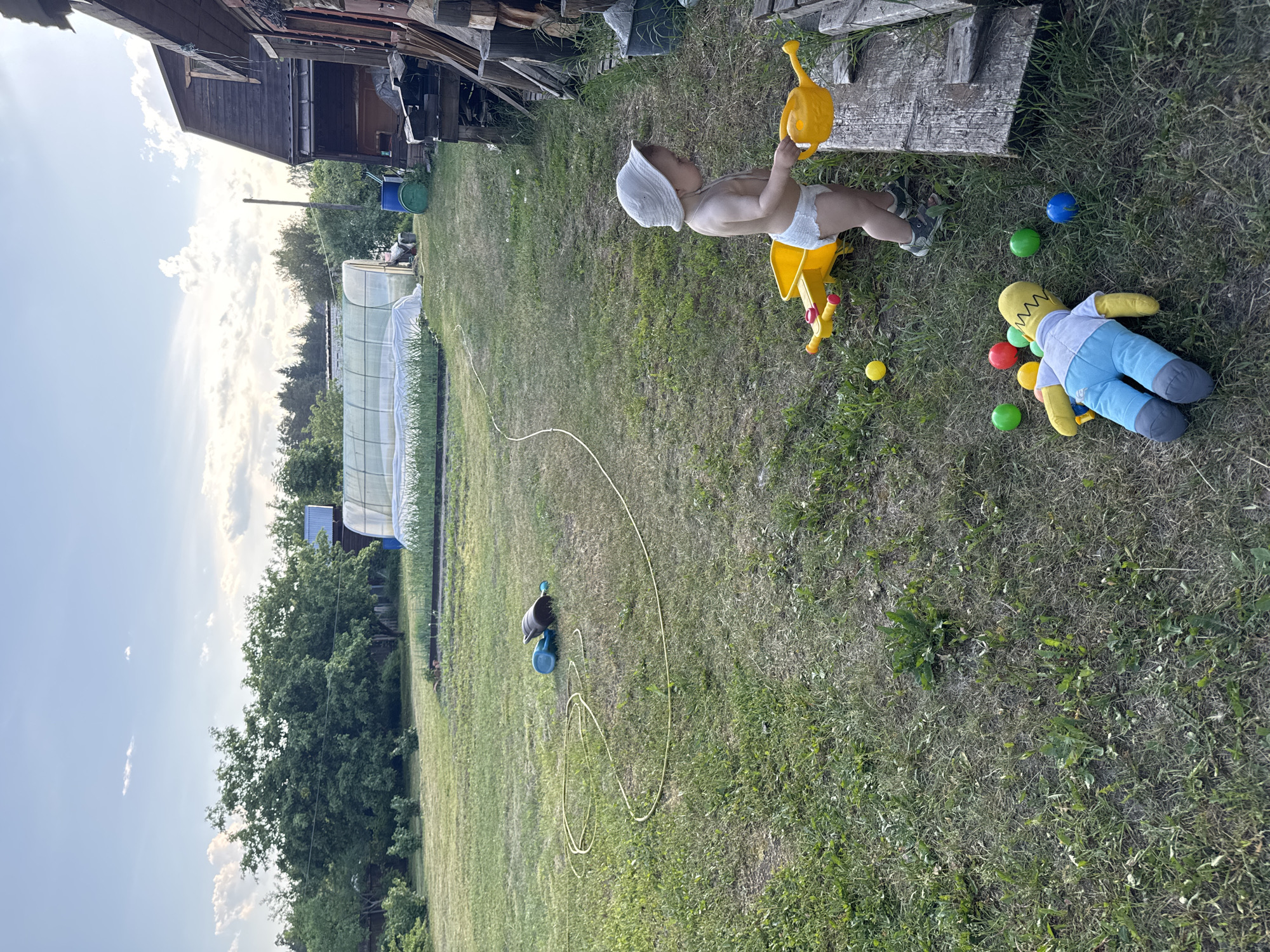 A young child, wearing a white sun hat and a diaper, stands on a grassy yard next to a yellow toy wheelbarrow and a yellow watering can. The child is holding the watering can and appears to be interacting with a wooden structure. Several colorful plastic balls and a stuffed toy resembling Homer Simpson are scattered on the grass. In the background, a greenhouse, trees, and wooden structures are visible. The sky is partly cloudy with a sunset hue. The scene is set in the village of Krivandino, Russia, which is characterized by its rural setting with agricultural elements like greenhouses and wooden outbuildings.