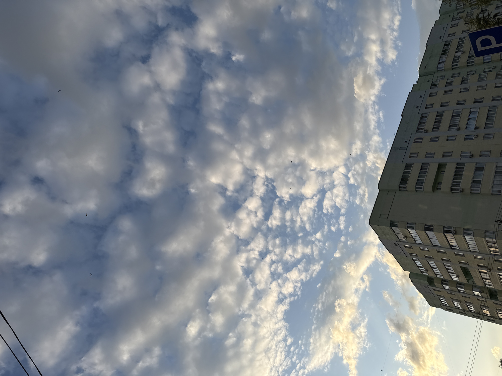 The image captures a partly cloudy sky over Chaikovsky, Russia, with a large, light-colored building occupying the right side of the frame. The building has multiple floors with numerous windows and appears to be an apartment complex, potentially a residential area. A parking sign is visible near the building. Thin utility lines or wires are strung across the lower left portion of the image. Several small birds are flying in the sky, amidst the clouds. The light indicates it is likely either early morning or late afternoon.