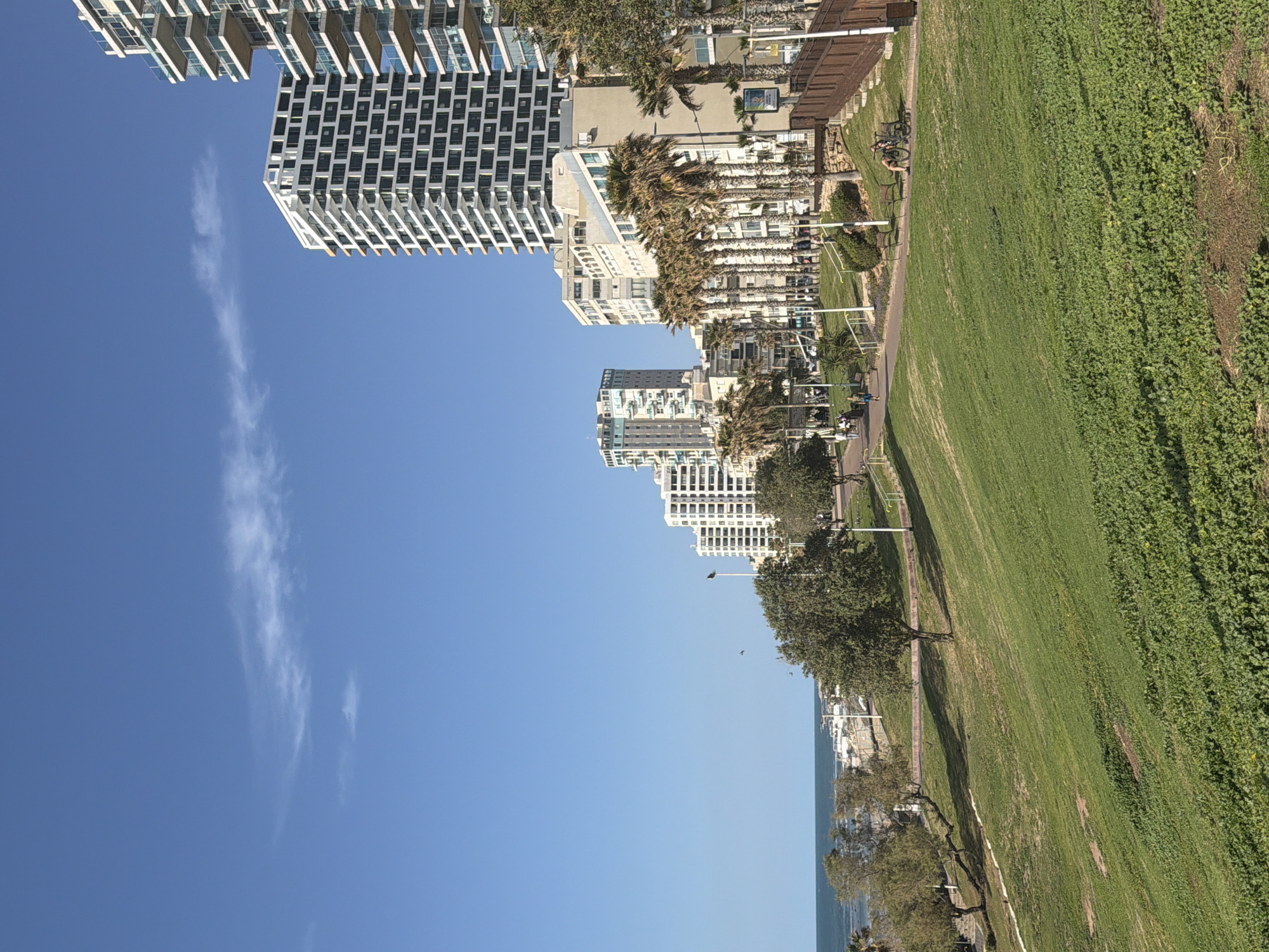 The image shows a rotated view of the Bat Yam coastline in Israel, likely taken from the promenade. A line of modern high-rise apartment buildings borders a green space, with a walking path running parallel. The sky is clear blue with faint wisps of clouds. The Mediterranean Sea is visible on the bottom. No people are prominently featured, but the path suggests pedestrian activity. The dense green area appears to be a combination of grass and ground cover. Palm trees are interspersed among other trees and buildings. A covered structure is visible in the upper right area.