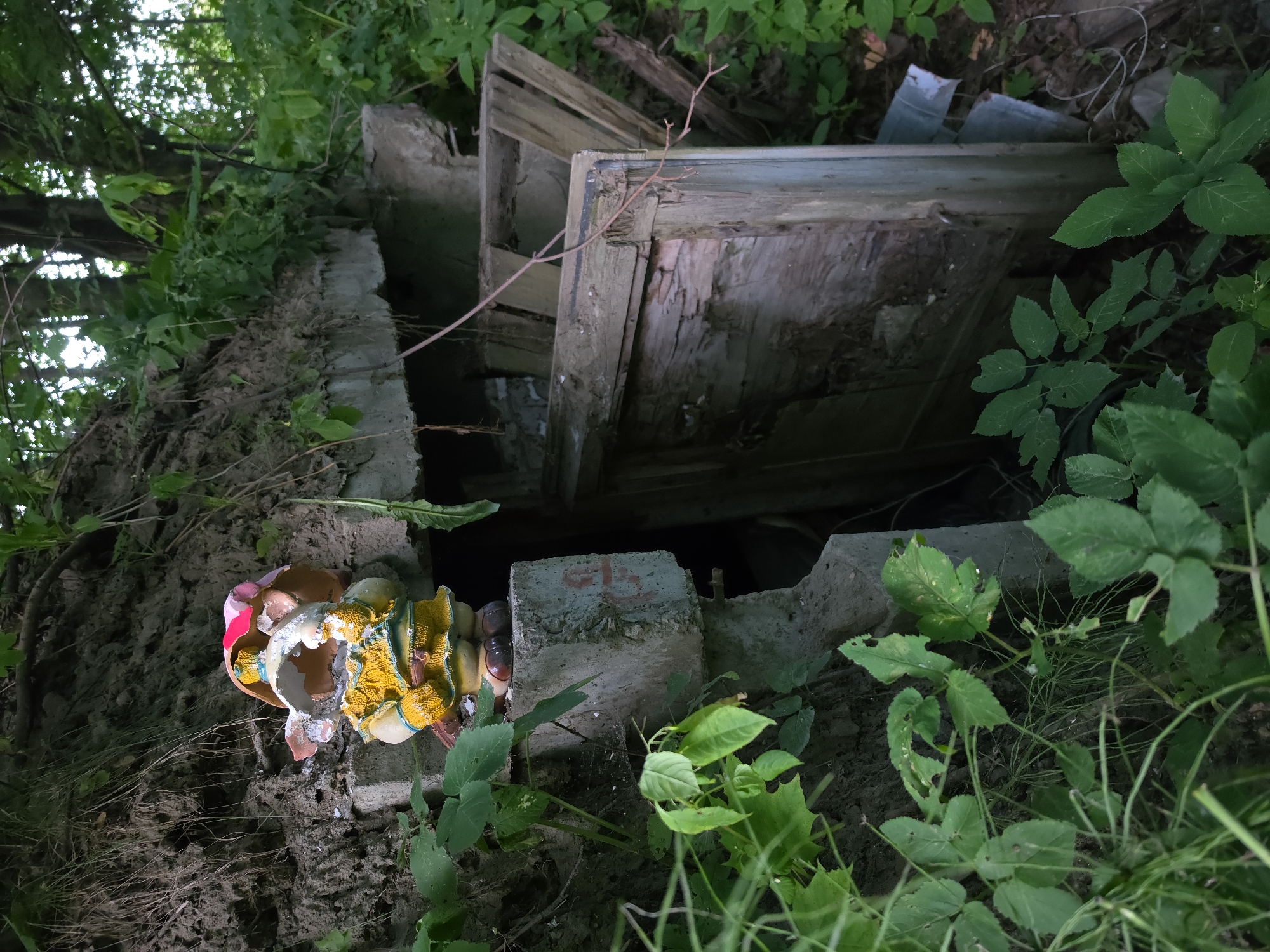 The image depicts a small, weathered, gnome-like statue placed on a concrete ledge. The statue is partially broken, with its head resembling a cracked eggshell. It wears a yellow tunic with blue trim and a red and pink cap. The gnome stands in front of an opening in what appears to be a derelict concrete structure, possibly an old bomb shelter or bunker, partially overgrown with vegetation. A broken wooden door or frame leans against the opening. The surrounding environment is dense with green foliage, suggesting a natural setting or an abandoned area within Strelna, Russia. The concrete structure is partially collapsed and weathered, with exposed rebar and rough textures. The lighting is dim, indicating it might be overcast or late in the day.