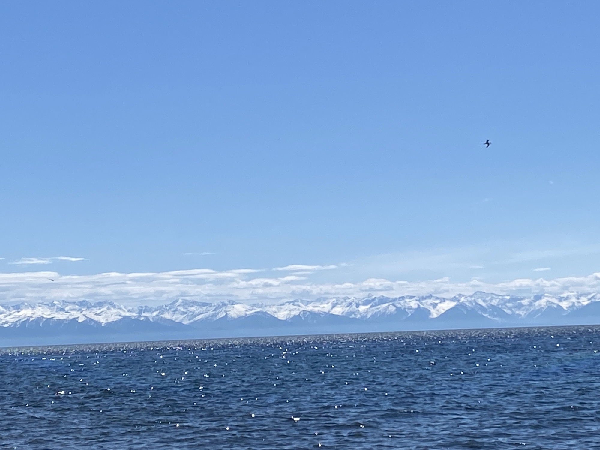 The scene depicts a body of water in the foreground, likely Lake Baikal near Listvyanka, Russia. The water is dark blue with sun glinting off the surface. In the mid-ground, snow-covered mountain peaks are visible under a light blue sky. A single bird is in flight in the upper right quadrant. The sky is mostly clear with some thin clouds above the mountains.