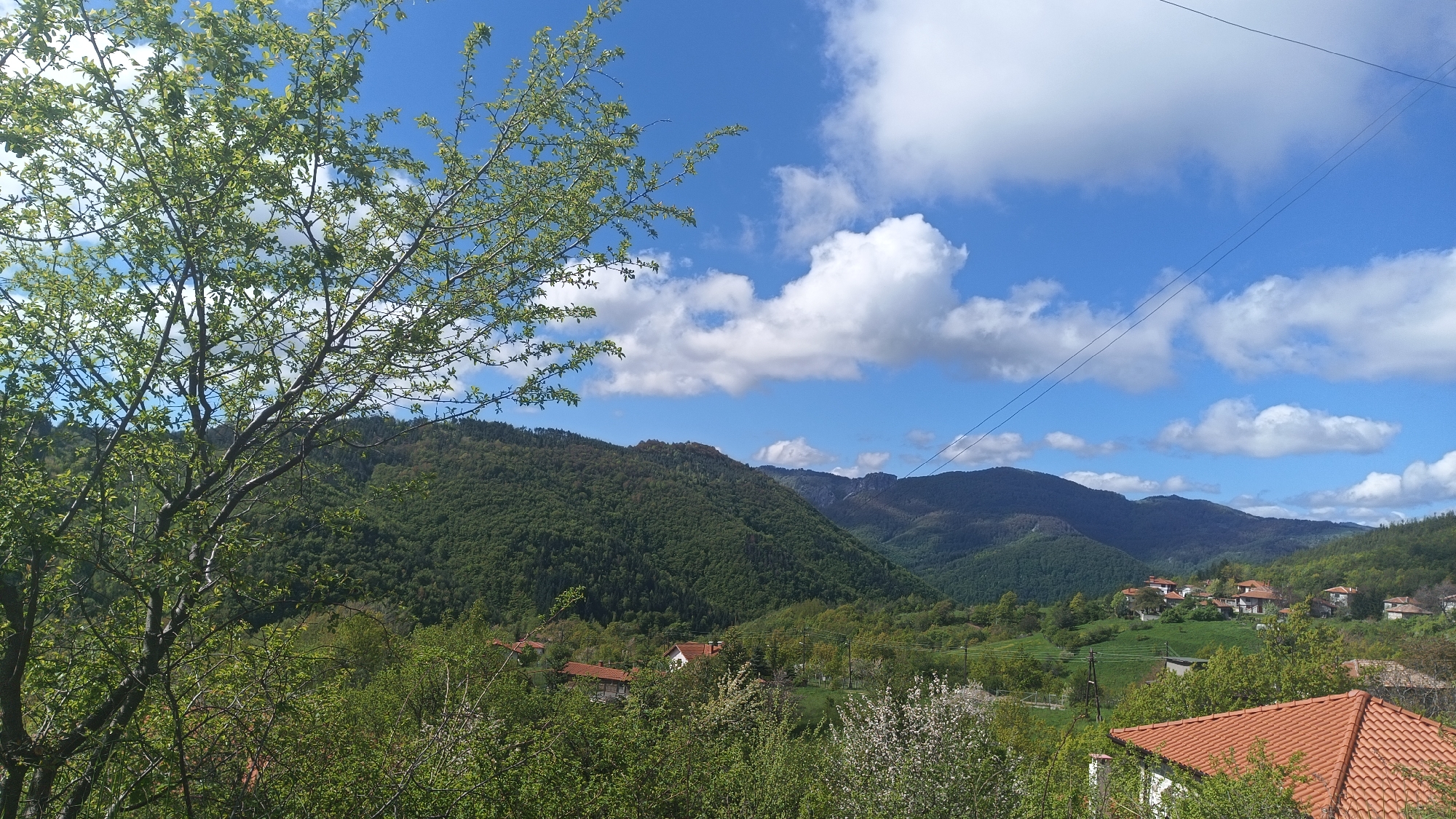 The image depicts a scenic view in the city of Vrata, Bulgaria. In the foreground, a tree with young green leaves stands on the left. Beyond the tree, a landscape unfolds, featuring a valley nestled between green forested mountains. A village with houses having red-tiled roofs is situated in the valley. Above, a blue sky is scattered with white, fluffy clouds. Power lines stretch across the top right portion of the image.