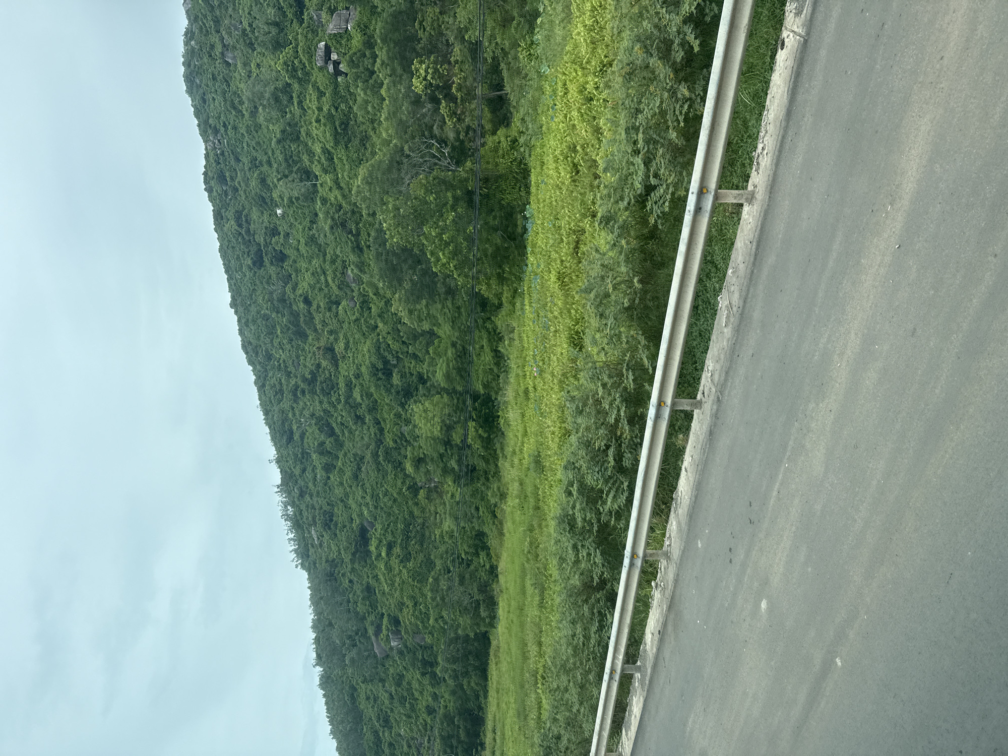A desolate, overcast day frames a lush, green mountain slope on the horizon. In the foreground, a gray asphalt road stretches diagonally from the bottom left to the middle right, bordered by a metal guardrail. Beyond the guardrail, a field of vibrant green vegetation transitions into the dense foliage of the mountain. A few dark rocks are visible scattered on the mountainside, and small, dark structures, possibly buildings, are perched near the summit. The overall scene suggests a rural or natural environment in Hoa Xuan, Vietnam.