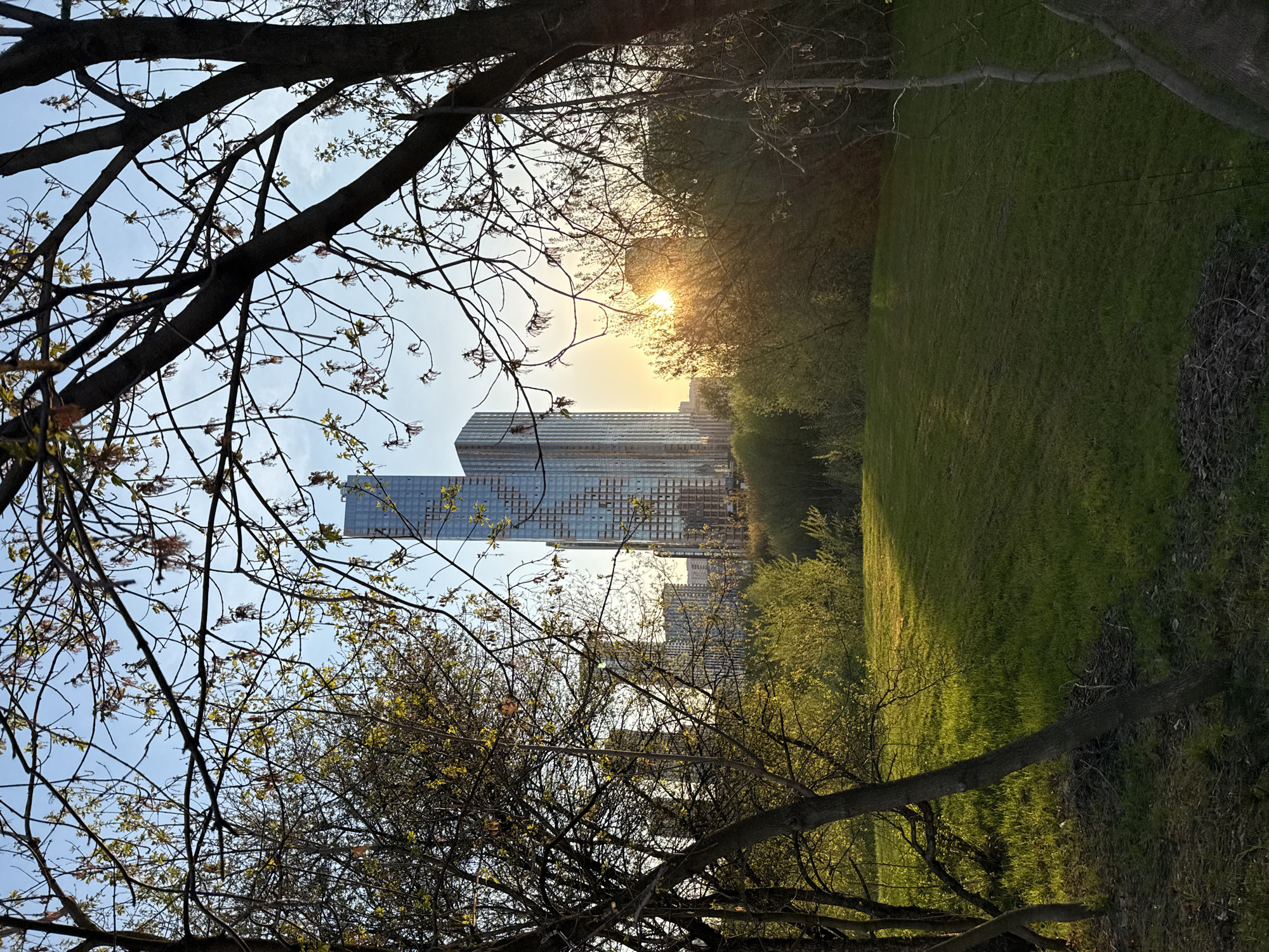 The image shows a cityscape framed by trees and foliage. A modern glass-clad skyscraper is visible in the background, partially obscured by the setting sun. Adjacent to the building is a grassy field with a slight slope. The trees in the foreground appear to be deciduous, with sparse leaves budding. The lighting suggests either sunrise or sunset. The location is in Moscow, Russia.