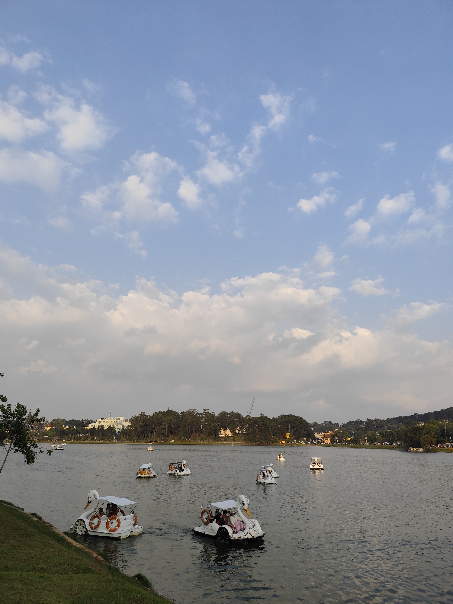 The image shows a body of water with several swan-shaped paddle boats, some occupied by people. The water is rippled, reflecting the sky. A grassy bank with a tree is visible on the lower left side. In the background, there is a line of trees, a few buildings, and a hill. The sky is blue with scattered white clouds. The location is likely Ho Xuan Huong Lake in Da Lat, Vietnam, based on the swan paddle boats and the surrounding landscape.