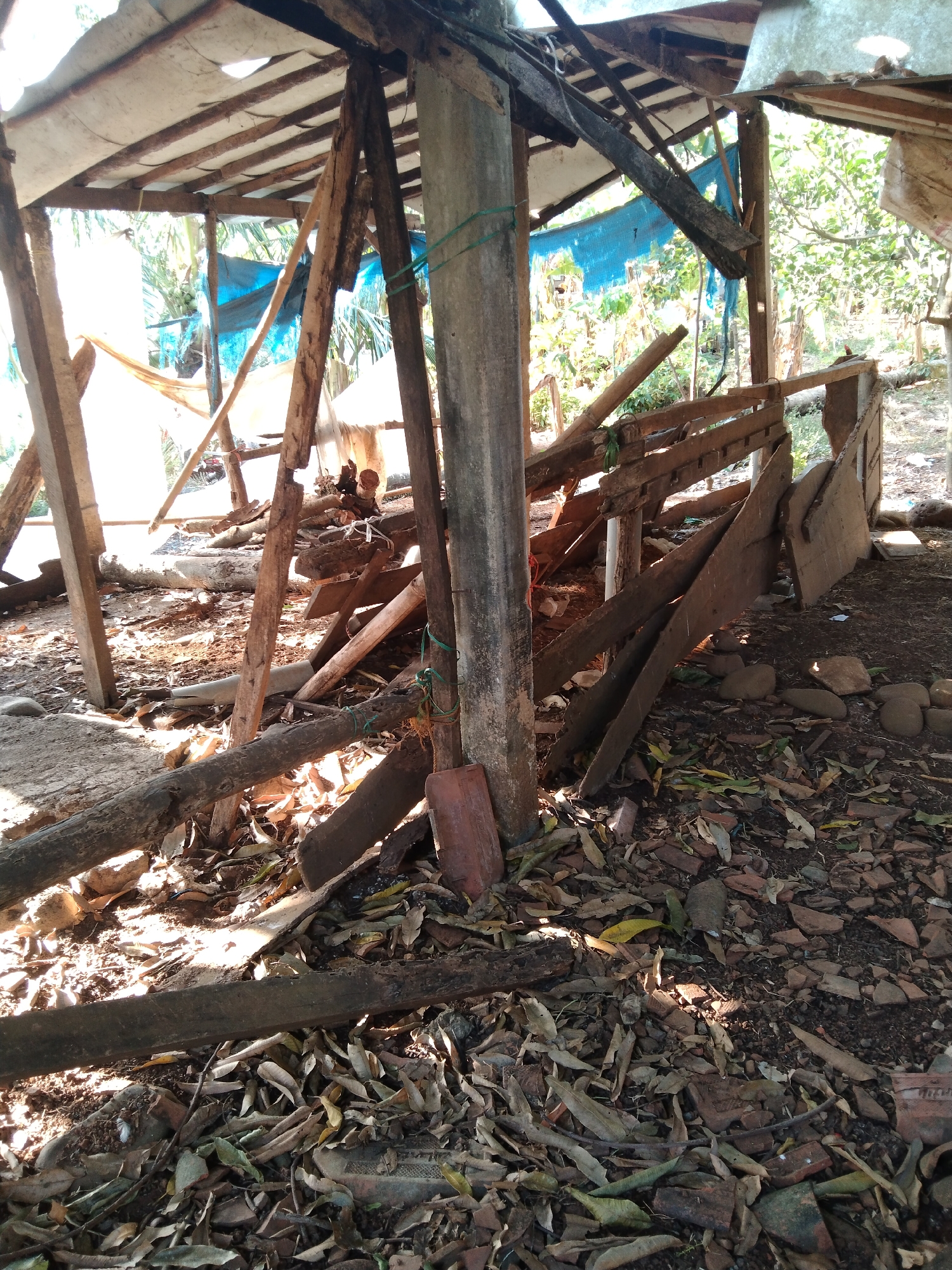 The image depicts a dilapidated structure in Krajan, Indonesia, appearing to be an abandoned or partially collapsed shed or shelter. The structure is composed of rough, weathered wooden beams and planks, with some supporting pillars made of concrete or stone. A blue tarp is visible as a covering material, and the roof appears to be made of corrugated sheets, some of which are torn or missing, allowing sunlight to penetrate. The ground is covered with a thick layer of fallen leaves, debris, and broken pieces of terracotta tiles or bricks. Scattered around the structure are more wooden planks and logs, suggesting disuse or ongoing demolition. The environment around the structure appears to be overgrown with vegetation, with trees and foliage visible in the background. The overall impression is one of decay and abandonment. There are no people visible in the image.