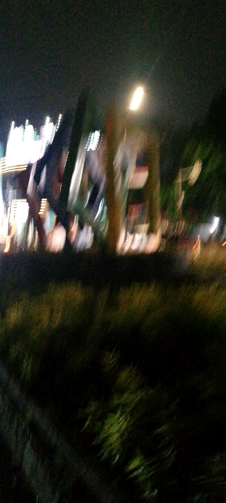 The image shows a blurred nighttime scene, possibly taken from a moving vehicle. In the background, there are lights from buildings and streetlights, appearing as streaks of white and yellow. There are also some dark vertical shapes that could be trees or poles. The foreground is dominated by dark green foliage, also blurred, suggesting it is grass or low-lying bushes. The overall impression is one of a vibrant, illuminated urban environment at night. Without further context or clearer details, it is not possible to pinpoint the exact location within Bandung City.